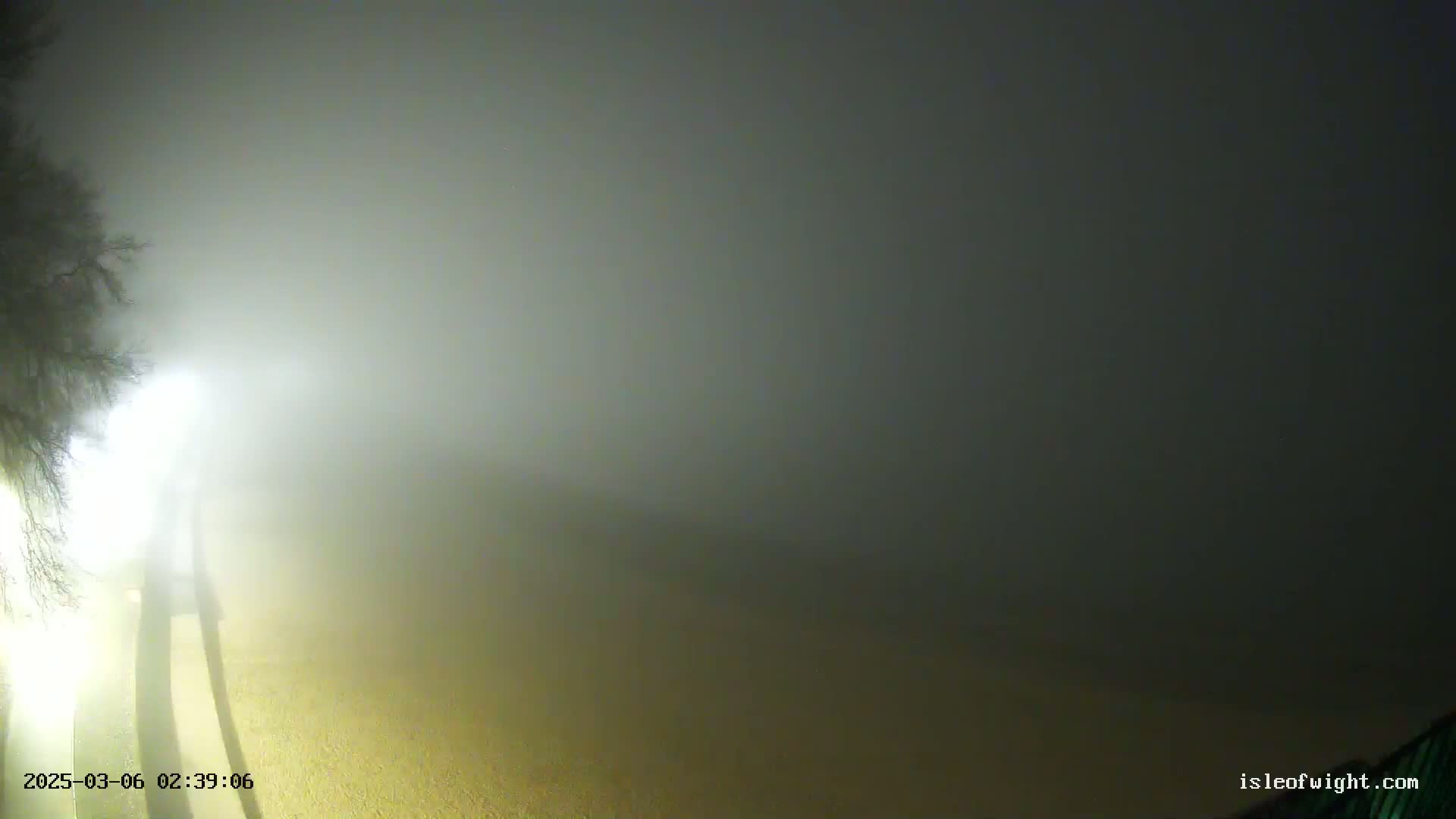 A nighttime scene shows a very foggy, dimly lit outdoor area with the silhouettes of trees and what appears to be a walkway or road visible in the foreground.
