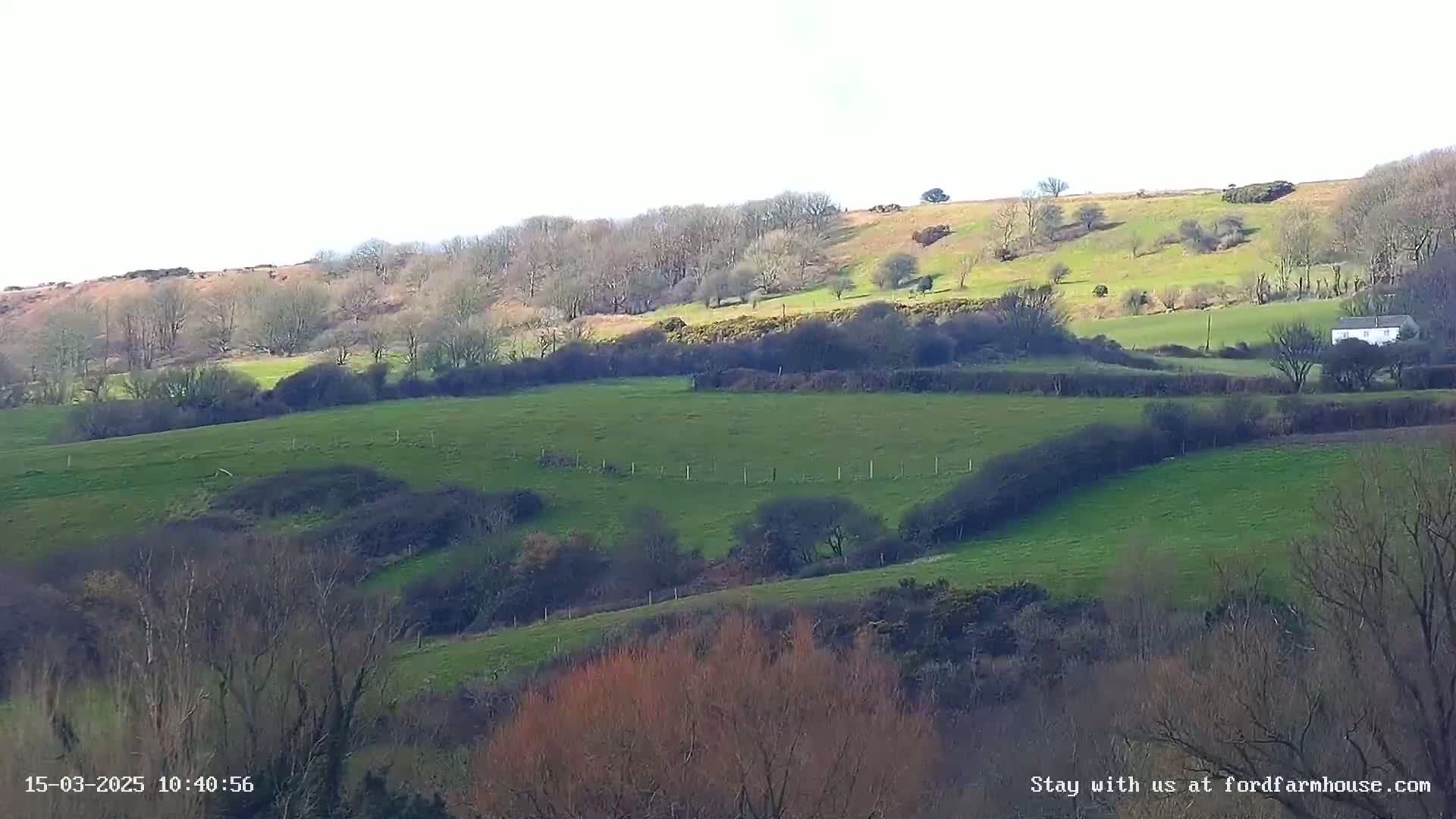 Rolling green hills dotted with bare trees and hedgerows under a bright, mostly clear sky.
