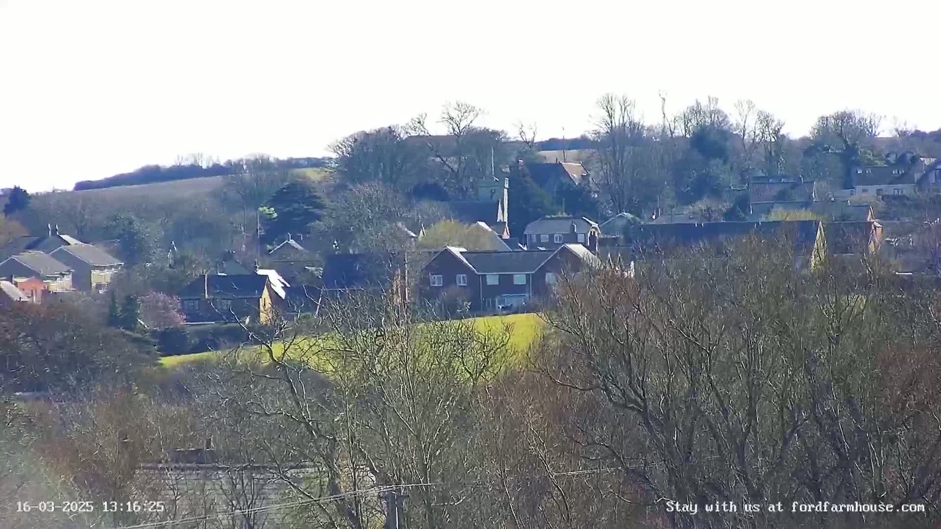 A distant view of a village nestled among bare winter trees on a sunny day.