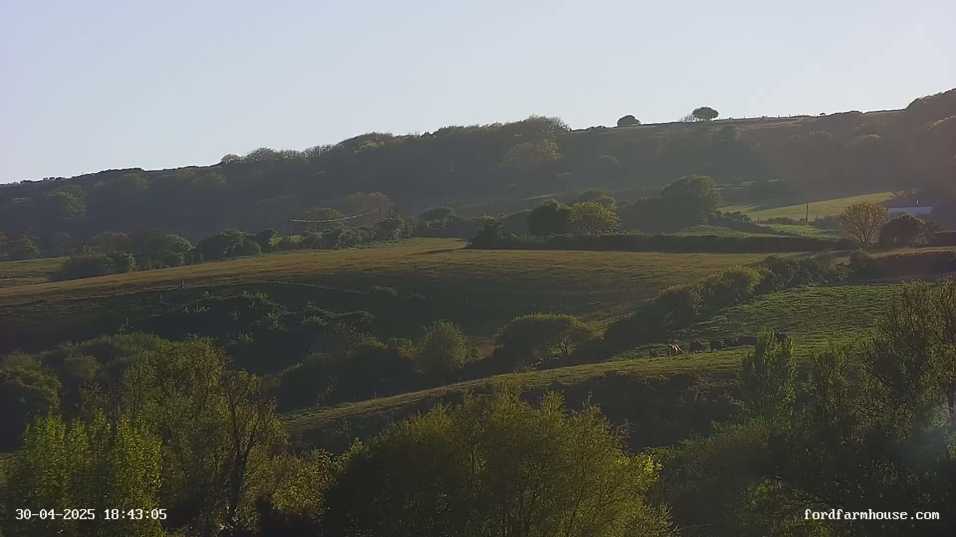 Rolling green hills and fields dotted with trees are bathed in the soft light of a clear evening.