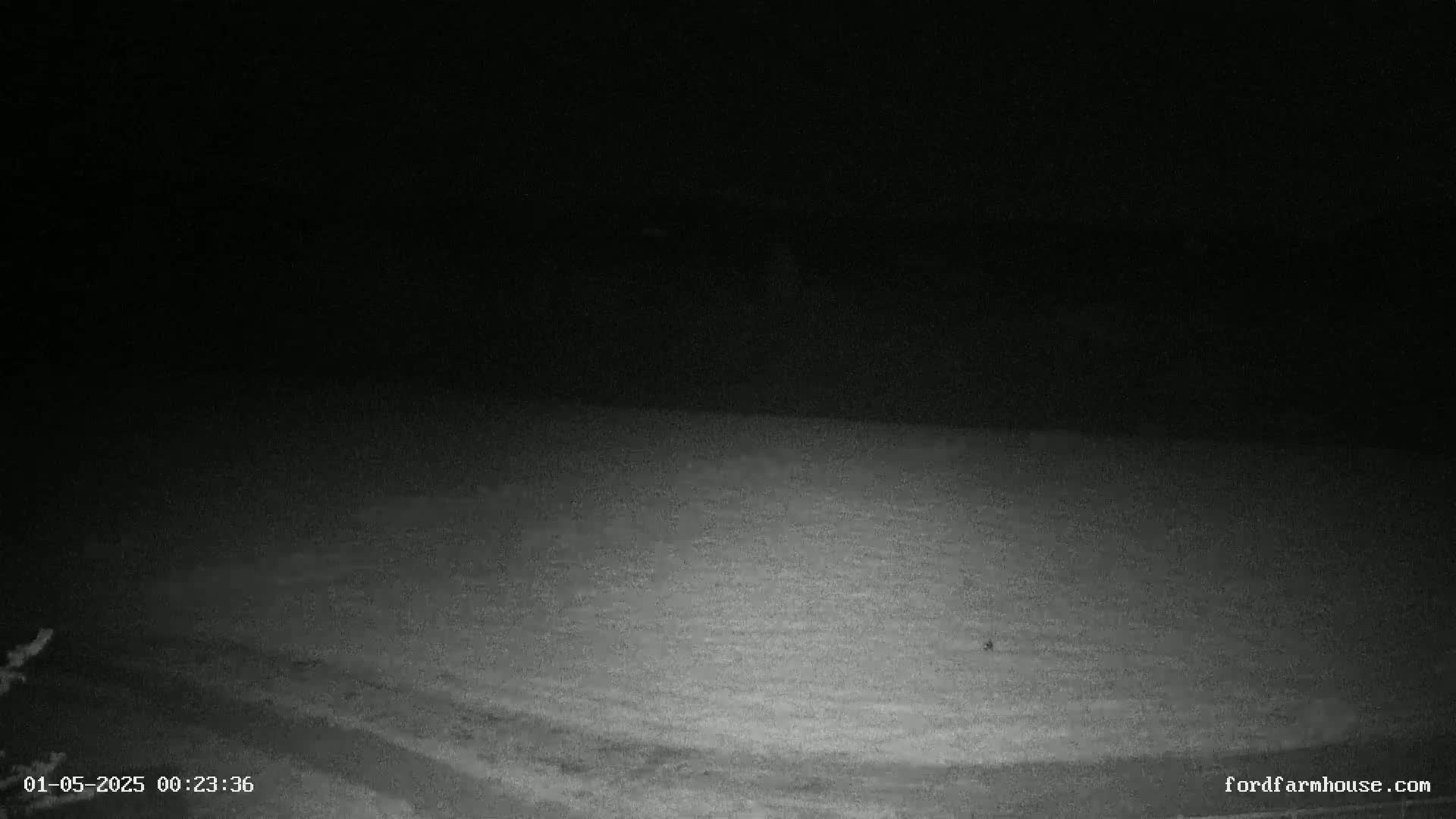 A low-light, nighttime view shows a snow-covered field under a dark sky.