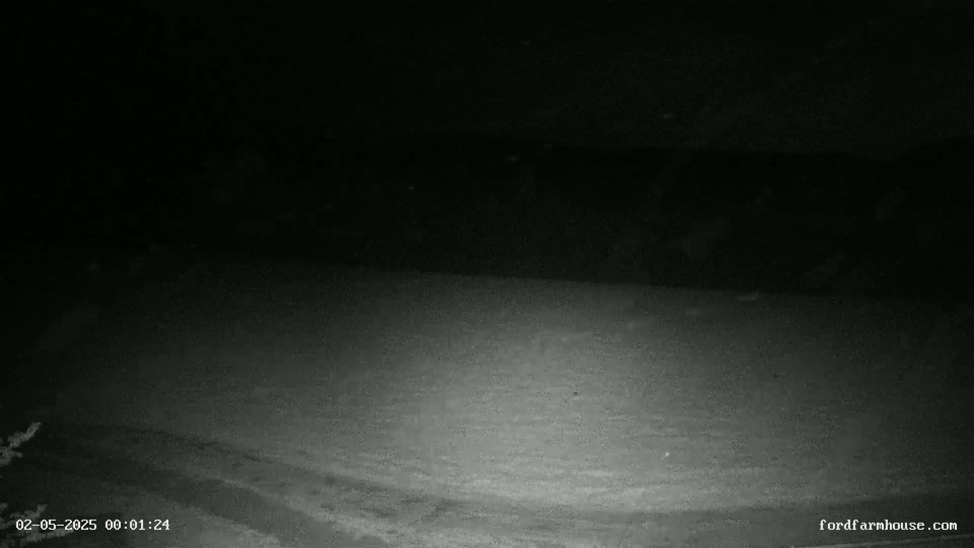 A low-light, nighttime image shows a snow-covered ground with a dark sky above.