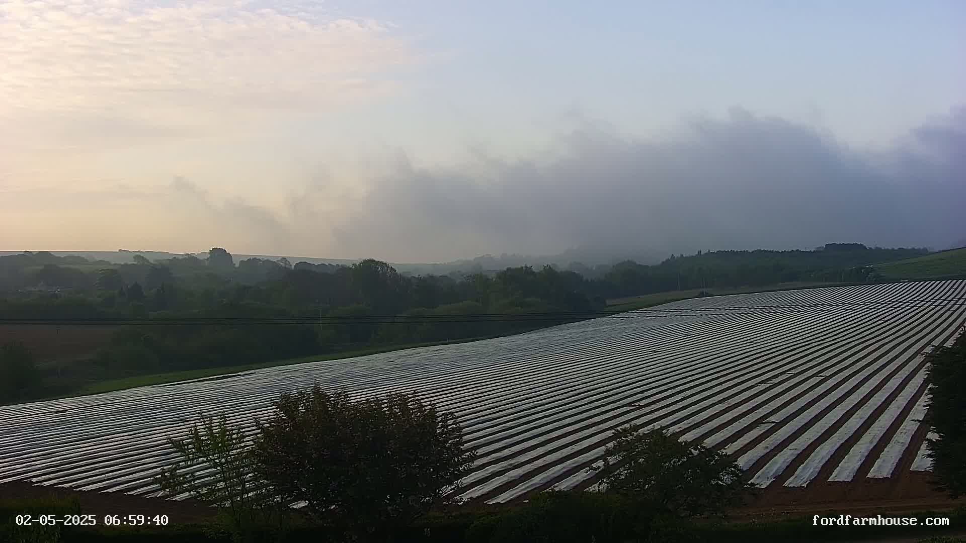 A large field covered in white plastic sheeting stretches across a landscape under a hazy, misty sky.