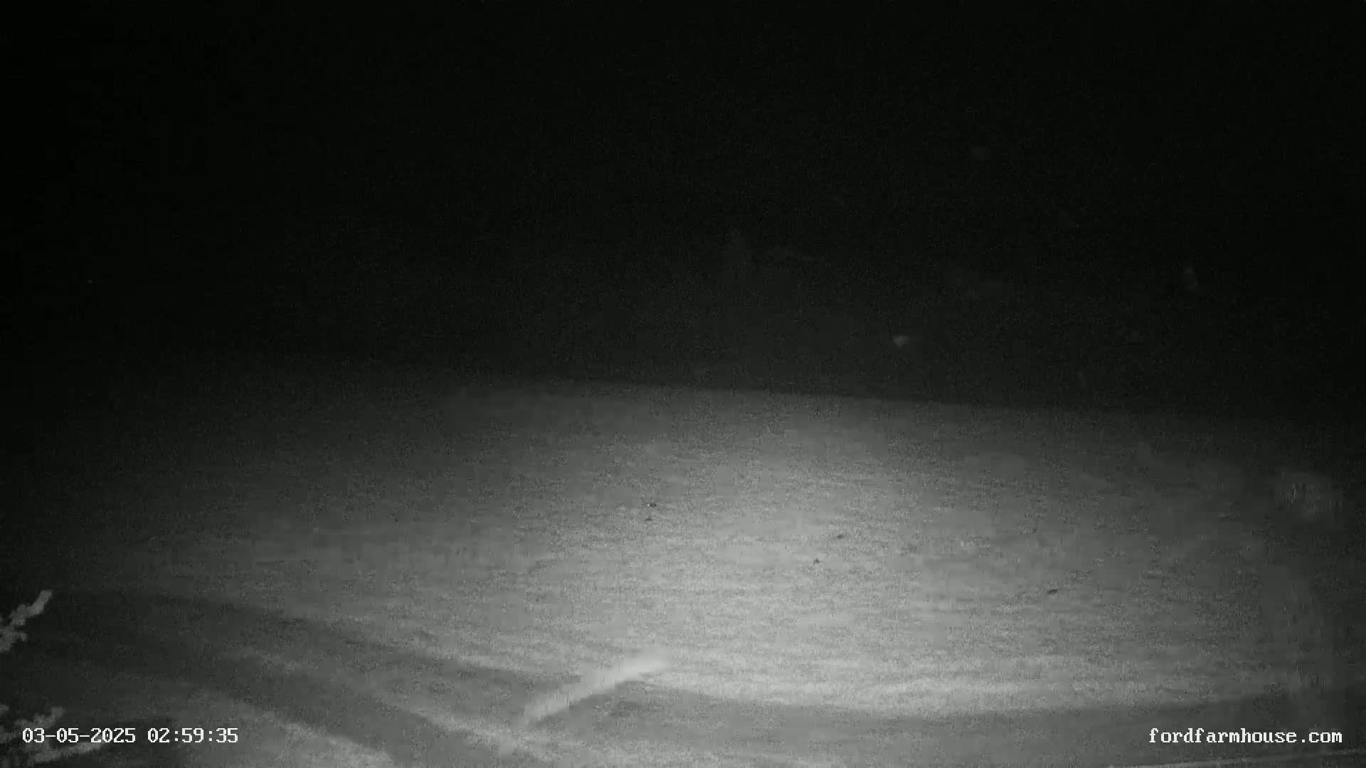A snow-covered ground is visible at night under a dark sky.