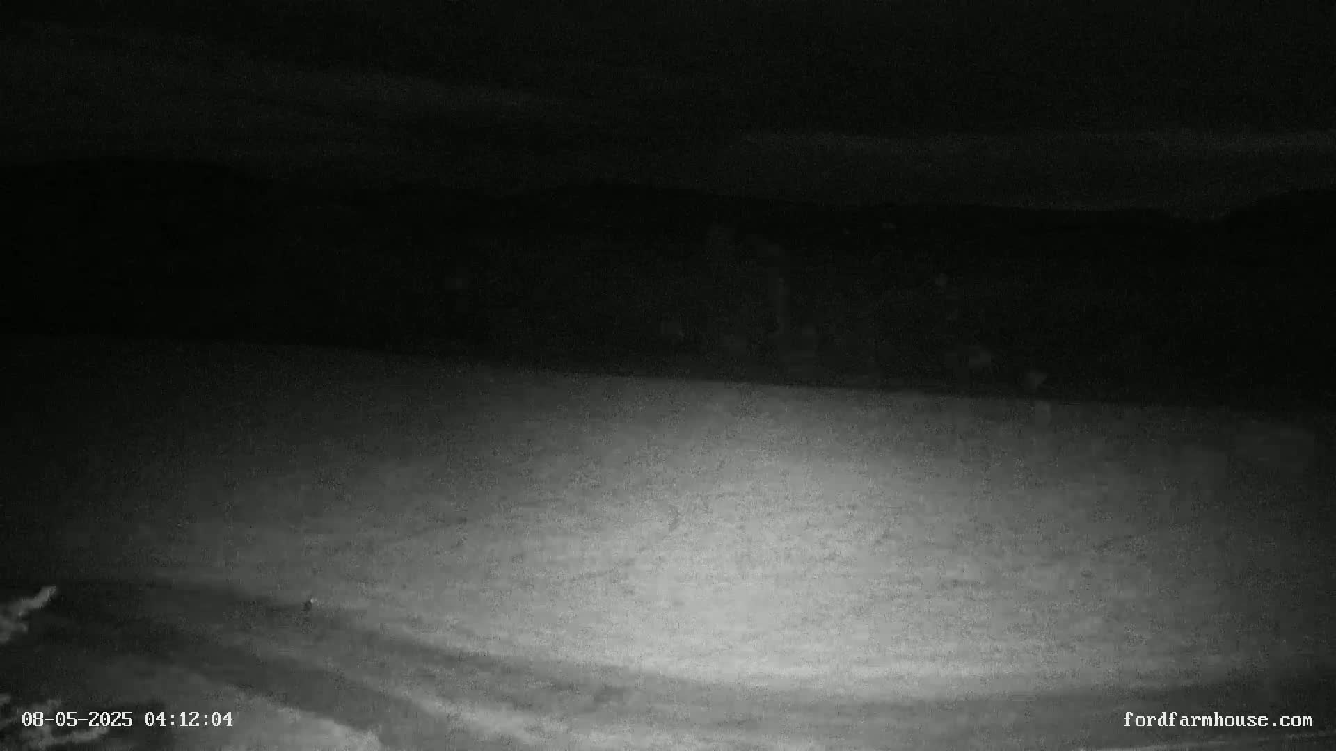 A low-light, nighttime image shows a mostly dark, snow-covered ground with a slightly brighter area in the foreground.