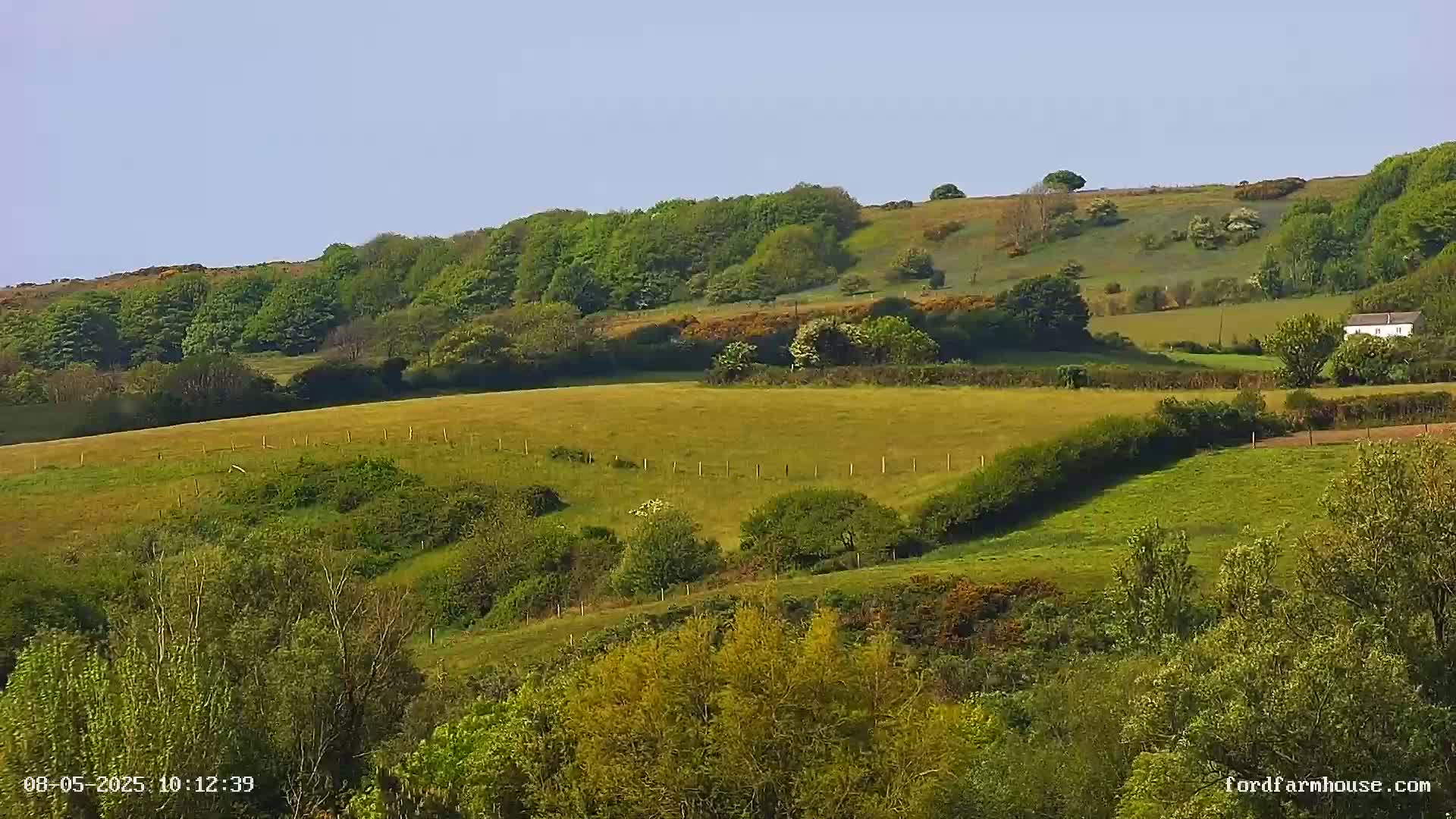 Rolling green hills dotted with trees and shrubs under a clear blue sky.