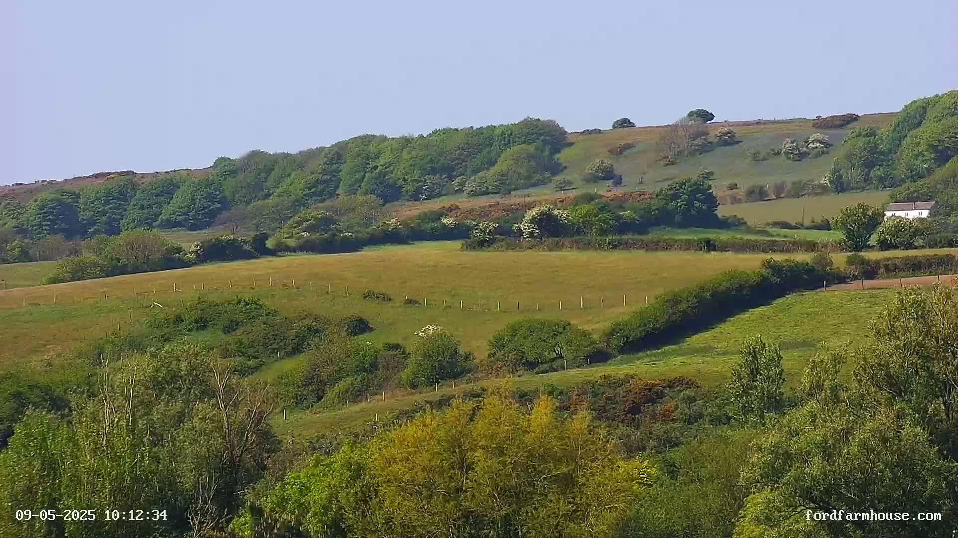 Rolling green hills dotted with trees and shrubs under a clear blue sky.