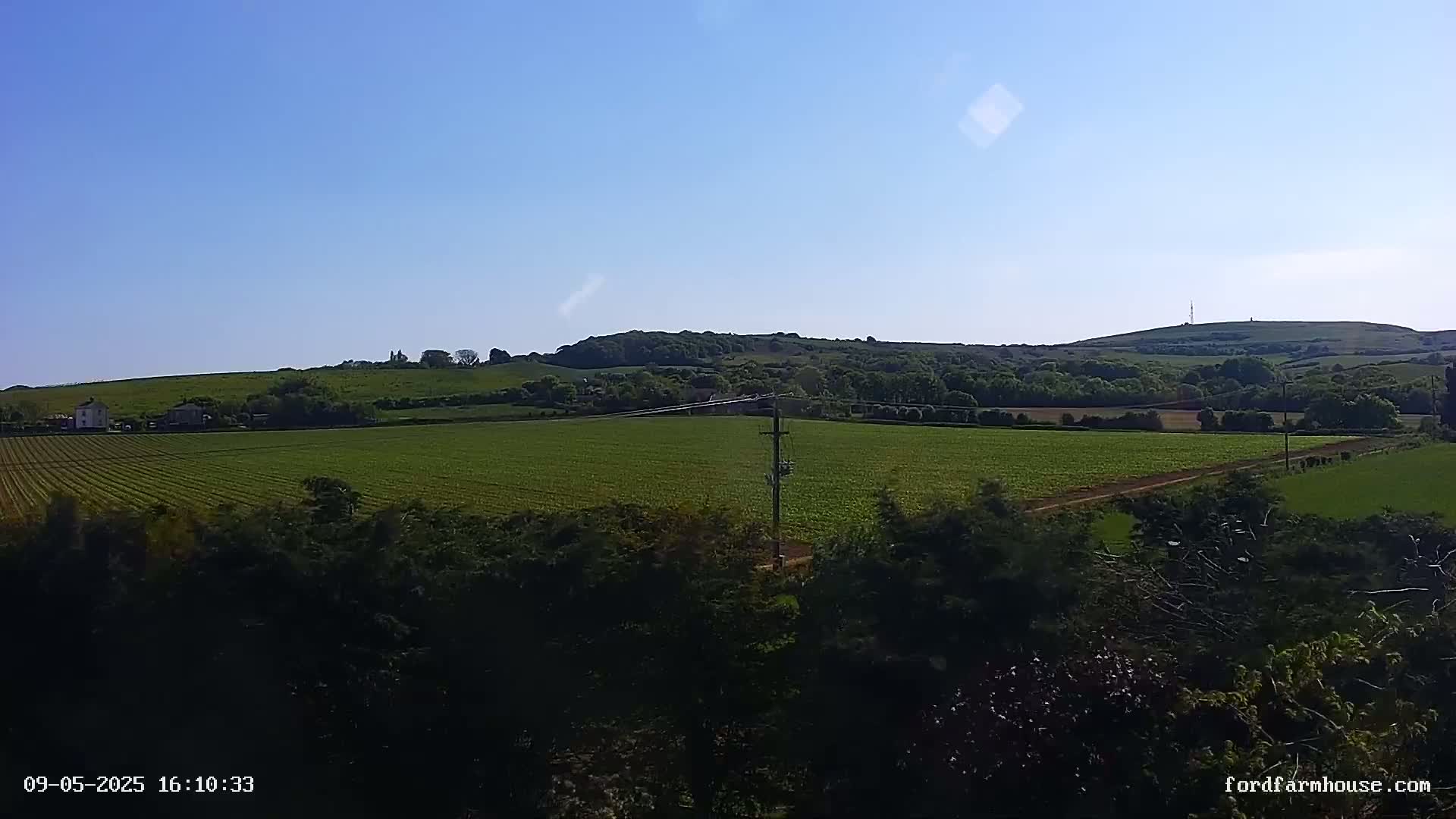 A vast, verdant field stretches out under a clear blue sky, rolling hills and distant trees forming a scenic backdrop.