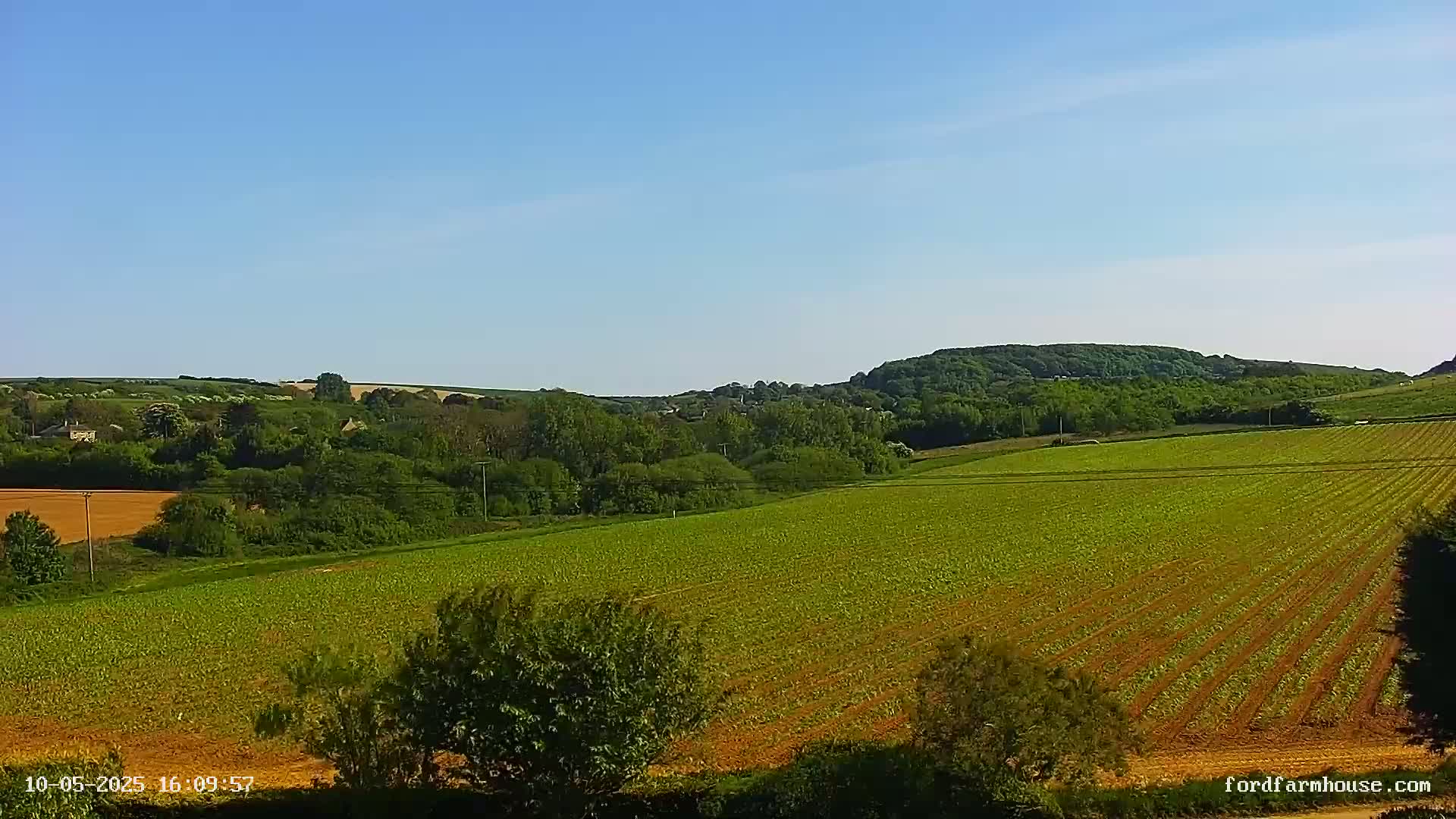 A vast, green field stretches across a gently rolling landscape under a clear blue sky, with a line of trees and a wooded hill in the background.