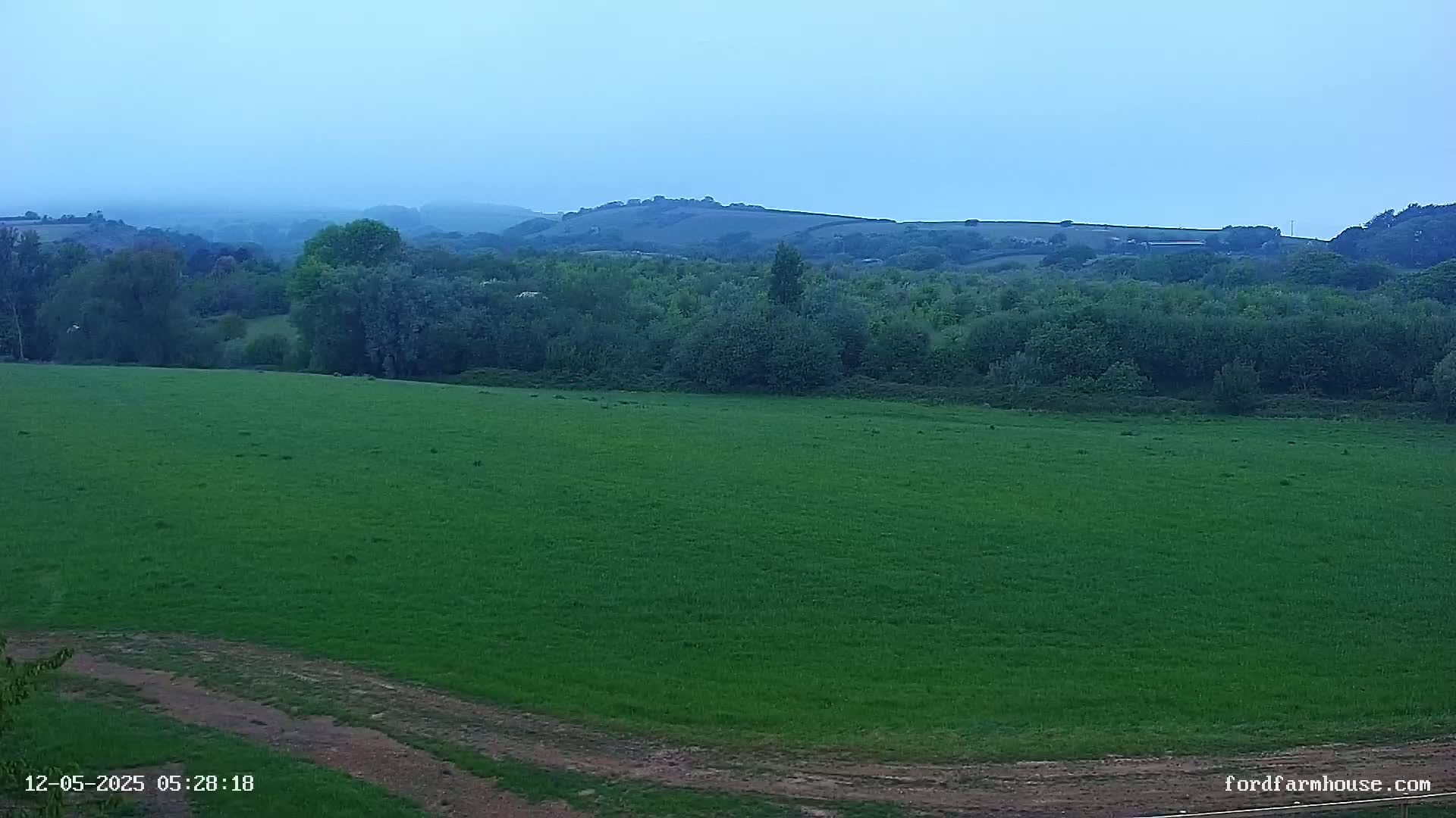 A vast, verdant field stretches towards a line of trees and rolling hills under a hazy, overcast sky.