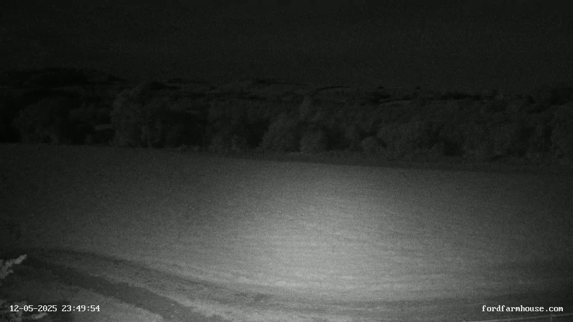 A nighttime, low-light image shows a field sloping gently upward toward a dark line of trees under a dark sky.
