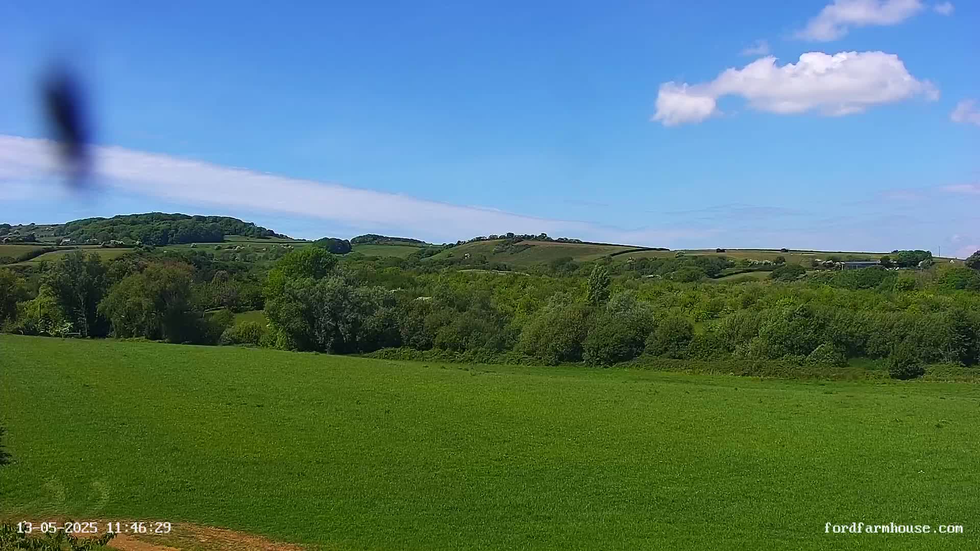 A vast green field stretches toward a line of lush green trees and rolling hills under a mostly sunny sky with a few fluffy white clouds.