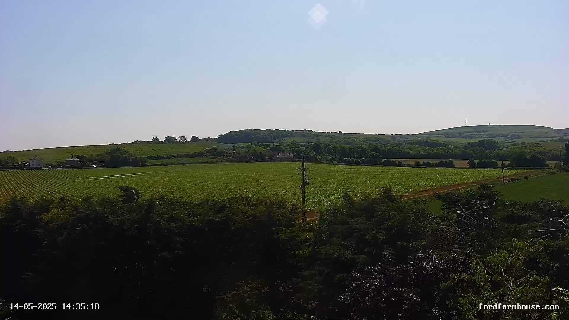 A sunlit green field stretches out before a line of dark trees, with rolling green hills in the background under a clear blue sky.