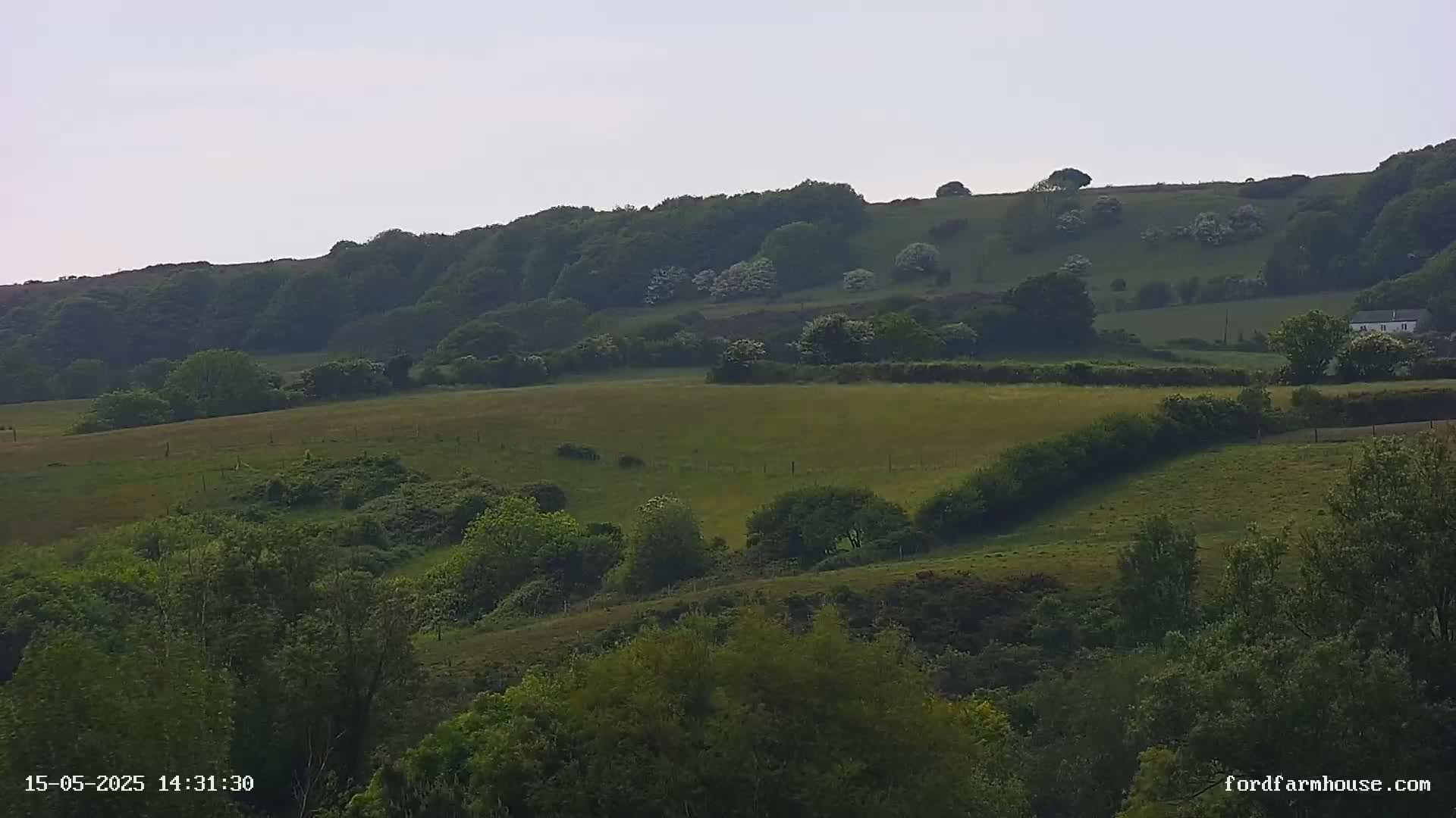 Rolling green hills dotted with trees and shrubs under a hazy sky.