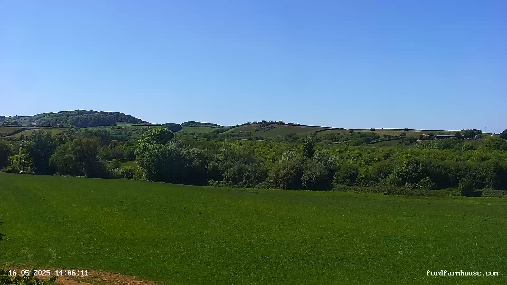A vast green field stretches out to a line of lush, green trees and rolling hills under a clear blue sky.