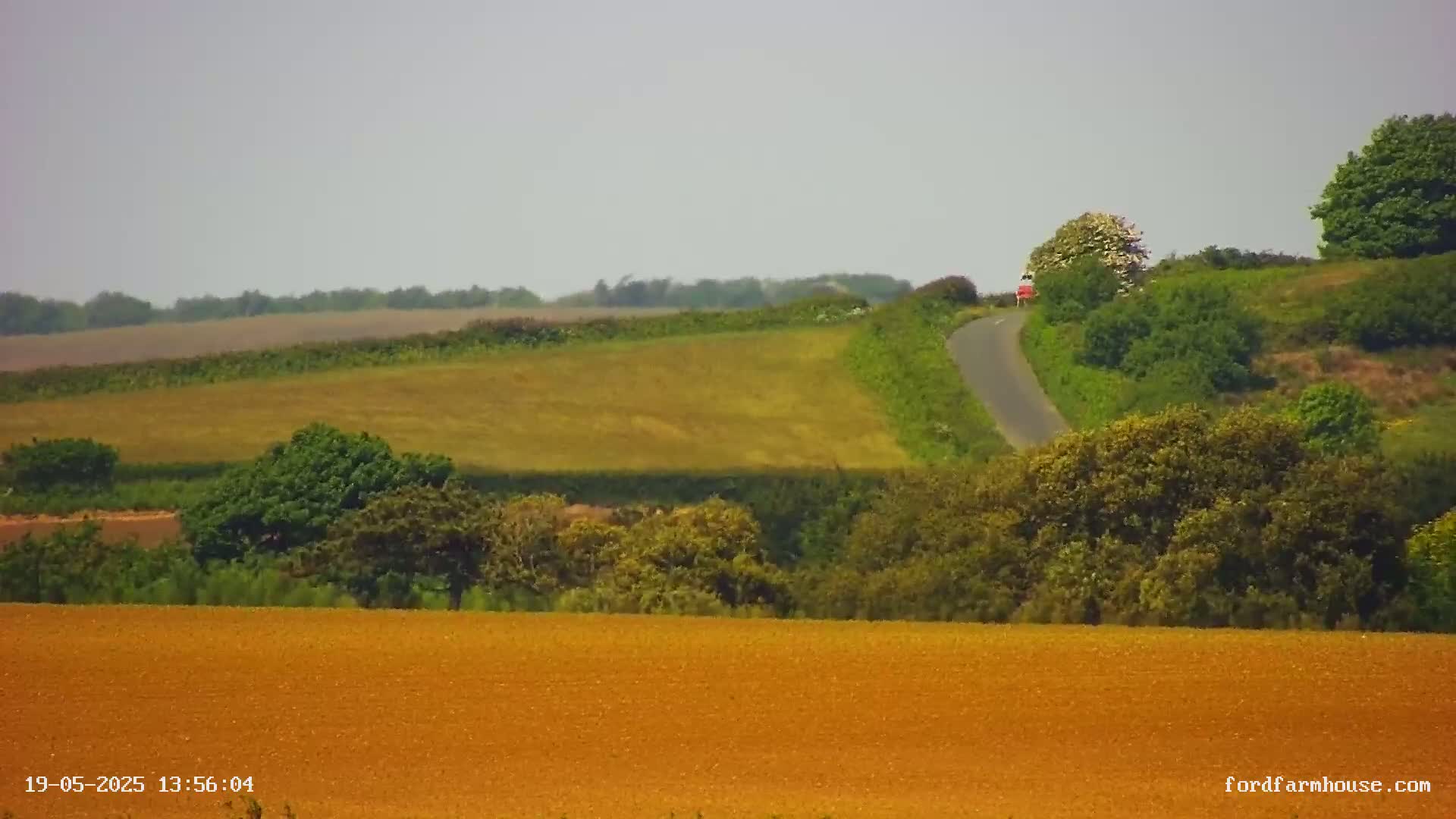 A winding road curves through a hilly landscape of golden fields and green foliage under a hazy sky.