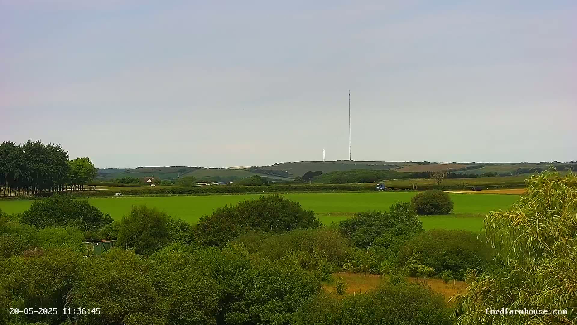 A view of a verdant landscape under a pale sky, featuring a tall radio tower atop a distant hill.