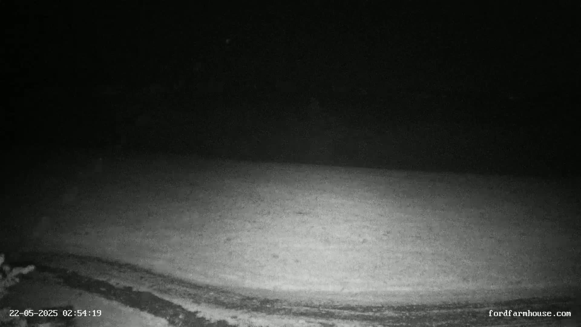A snow-covered ground is visible under a dark night sky.