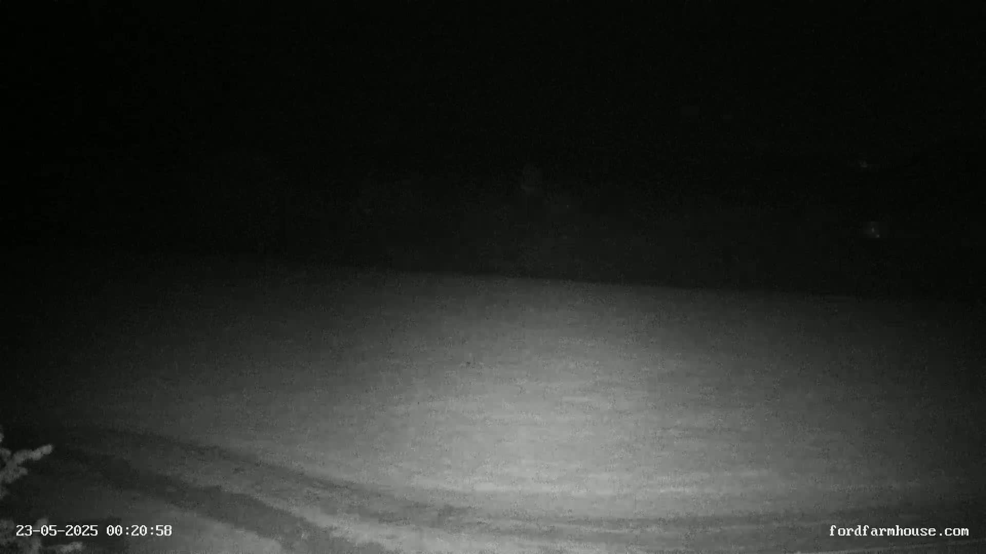 A low-light, nighttime image shows a flat, snow-covered ground extending to a dark, indistinct background.
