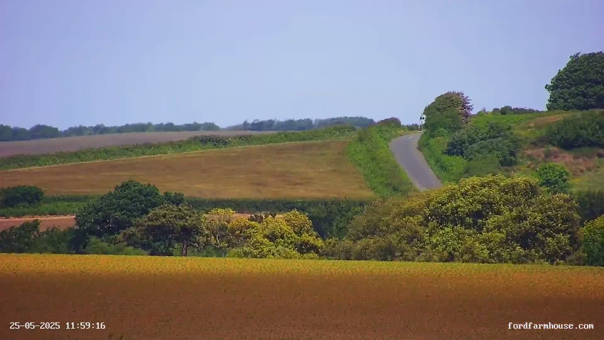 A paved road winds through a gently rolling landscape of brown and green fields under a clear blue sky.