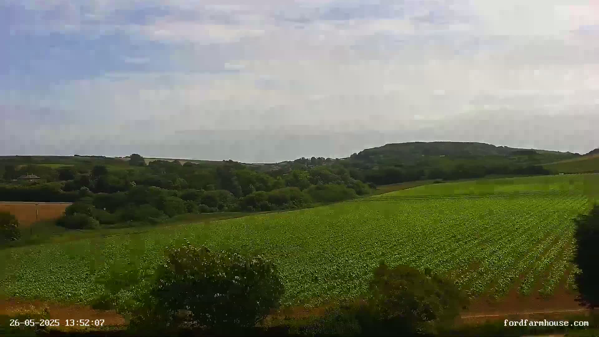 A large, expansive green field stretches out to rolling hills and a distant body of water under a mostly cloudy sky.