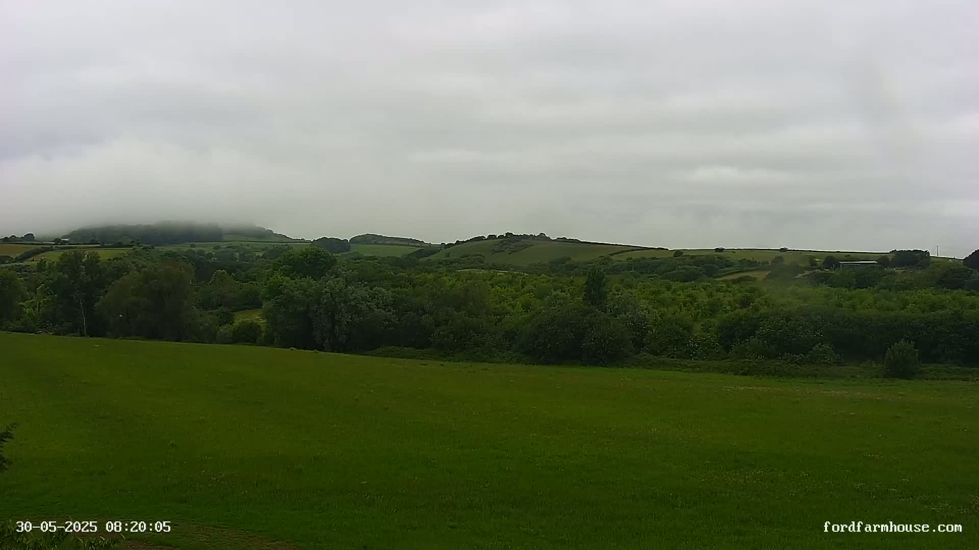 A vast green field stretches towards a line of lush green trees and rolling hills under a cloudy, overcast sky.