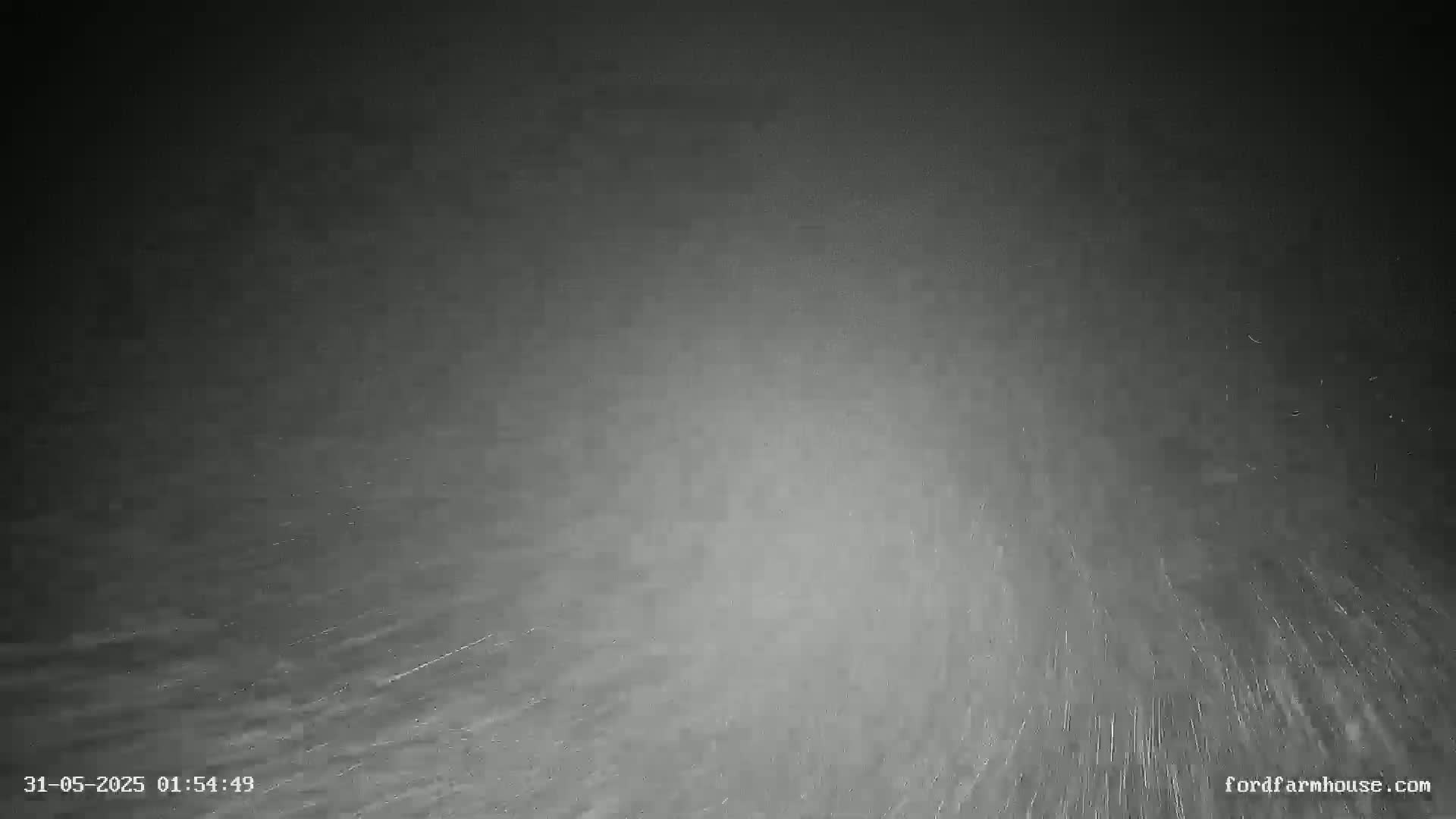 A nighttime, grainy, low-light image shows light snow or rain falling.
