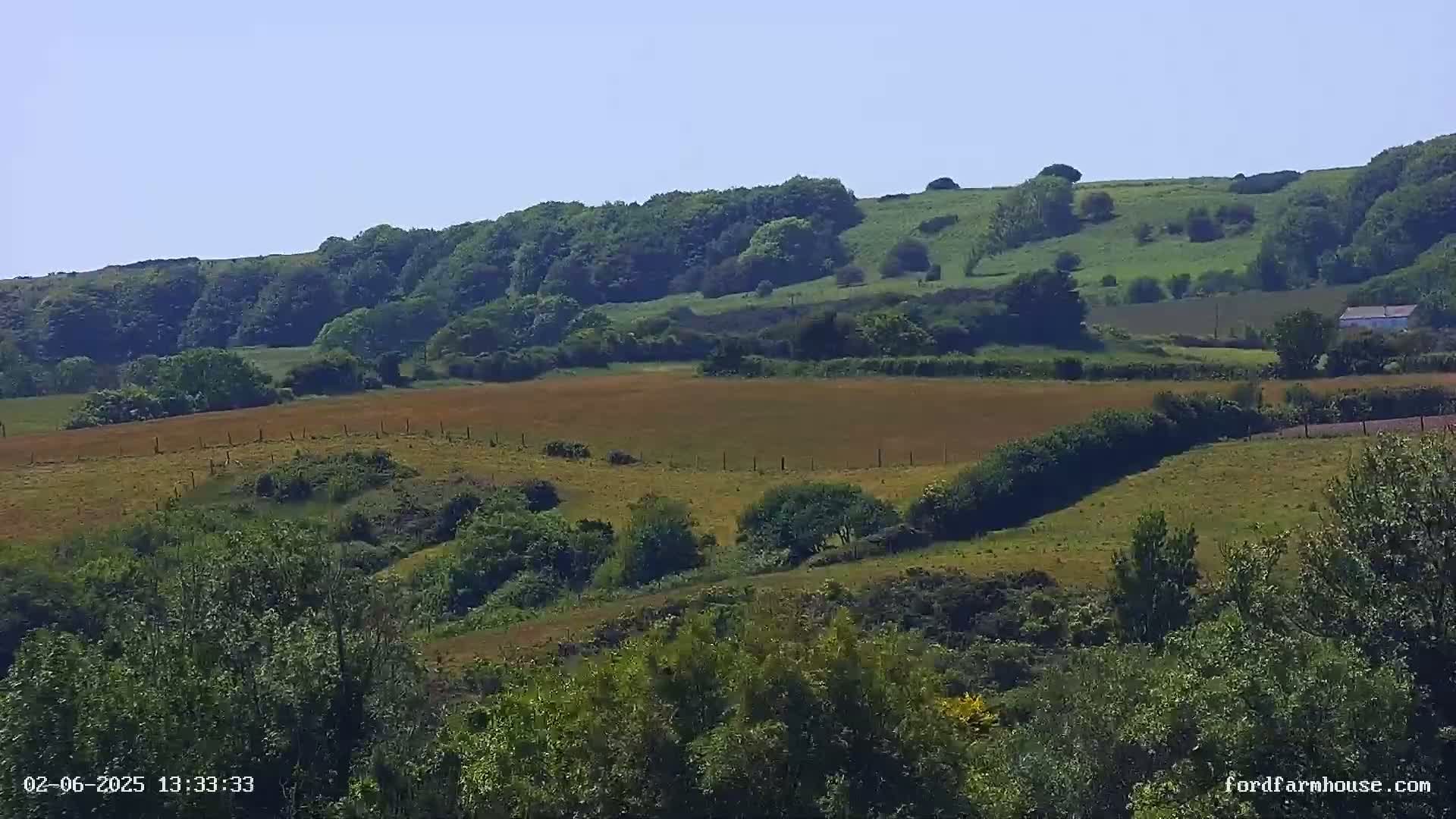 Rolling green hills dotted with trees and fields under a clear blue sky.