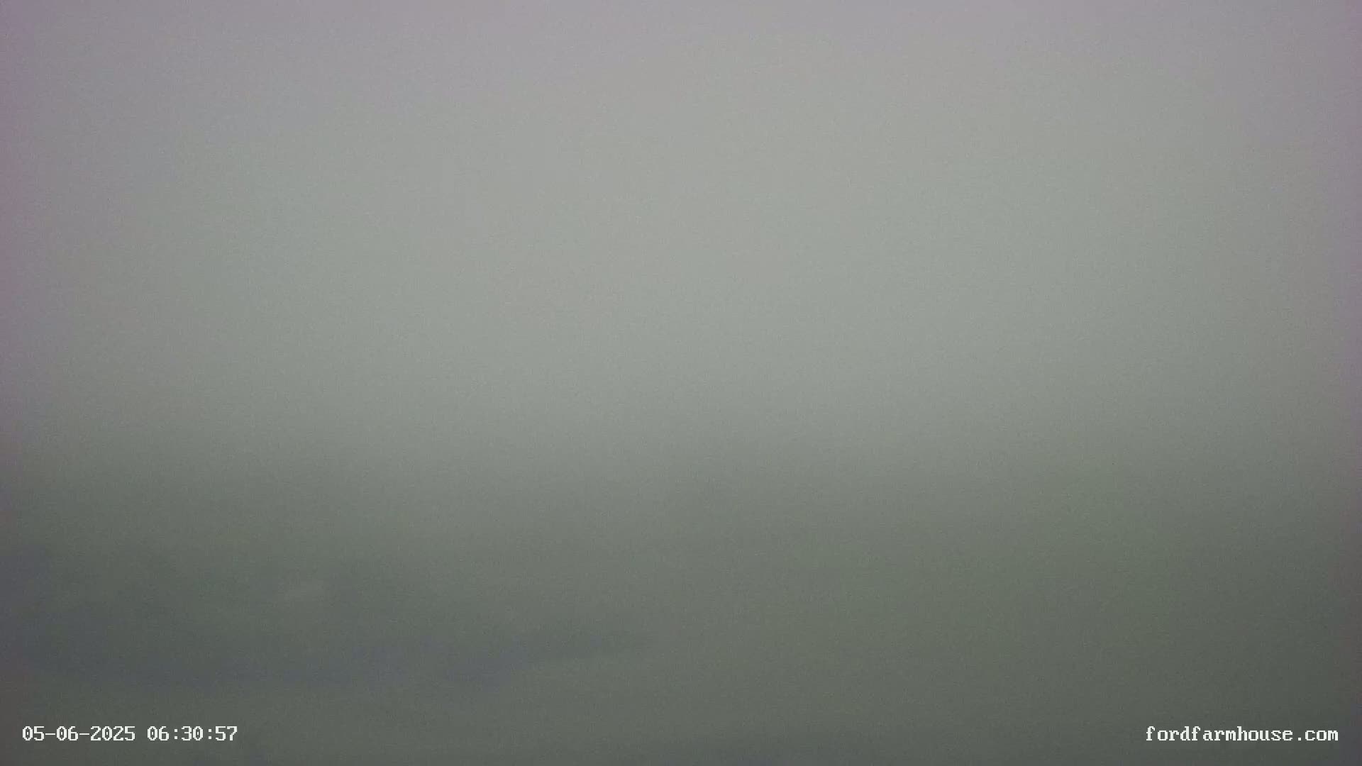 A very thick fog obscures all but the nearest ground.