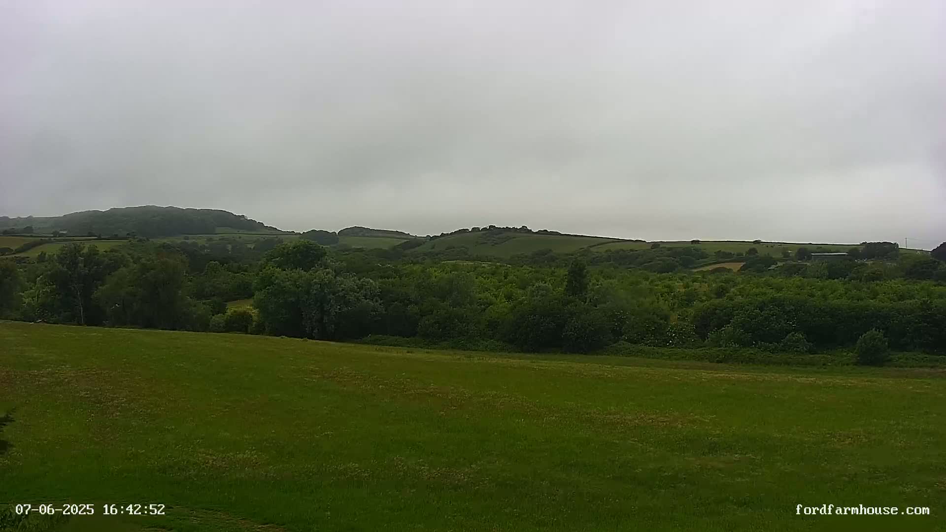 A wide expanse of green pasture stretches towards a line of dark green trees and rolling hills under a cloudy sky.