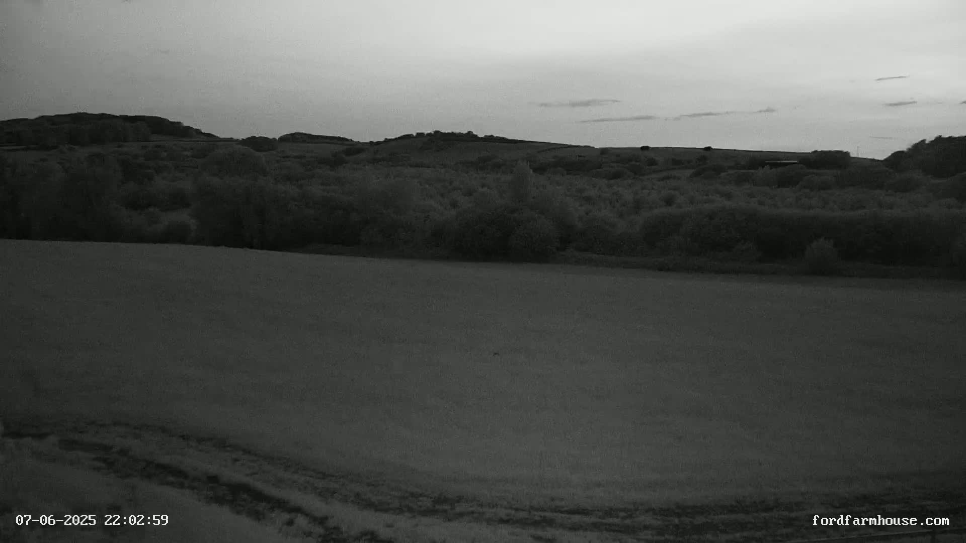 A flat, grassy field stretches towards a line of dark trees and rolling hills under a dusky sky.