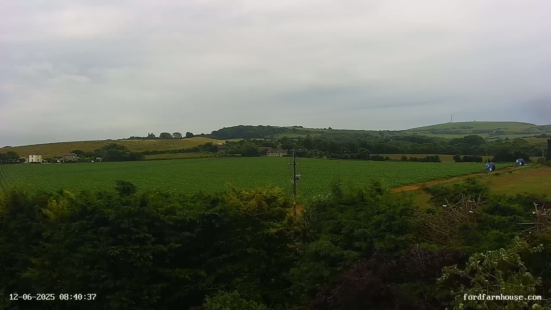 A vast green field stretches to rolling hills under an overcast sky.