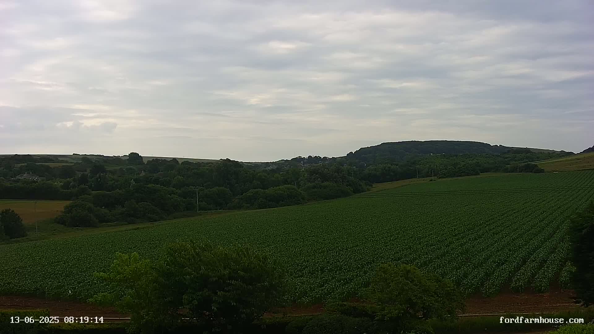 A large, expansive field of green crops stretches out under a cloudy sky, leading to a line of trees and hills in the distance.