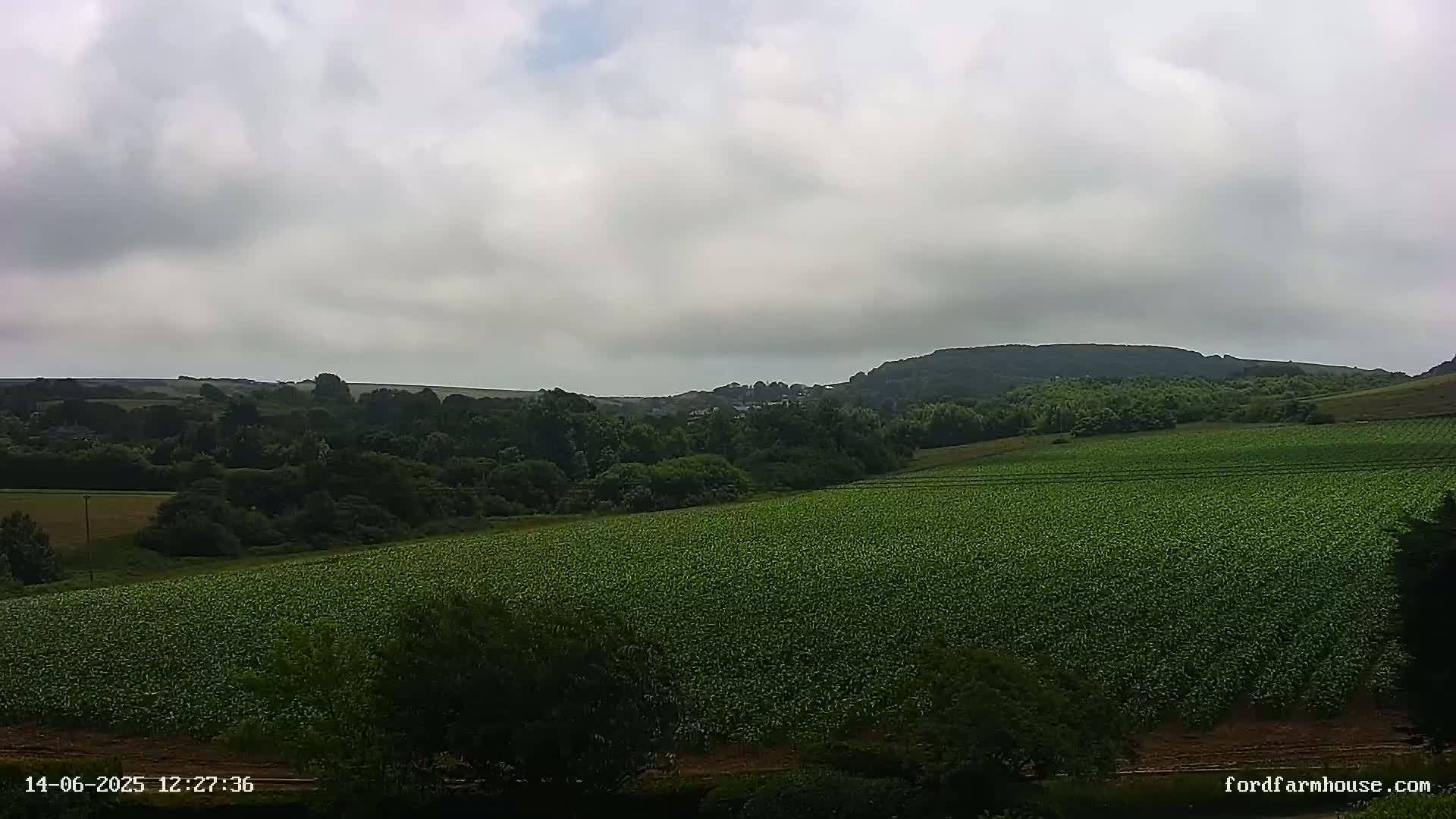 A large, verdant field stretches to the base of a tree-covered hill under an overcast sky.