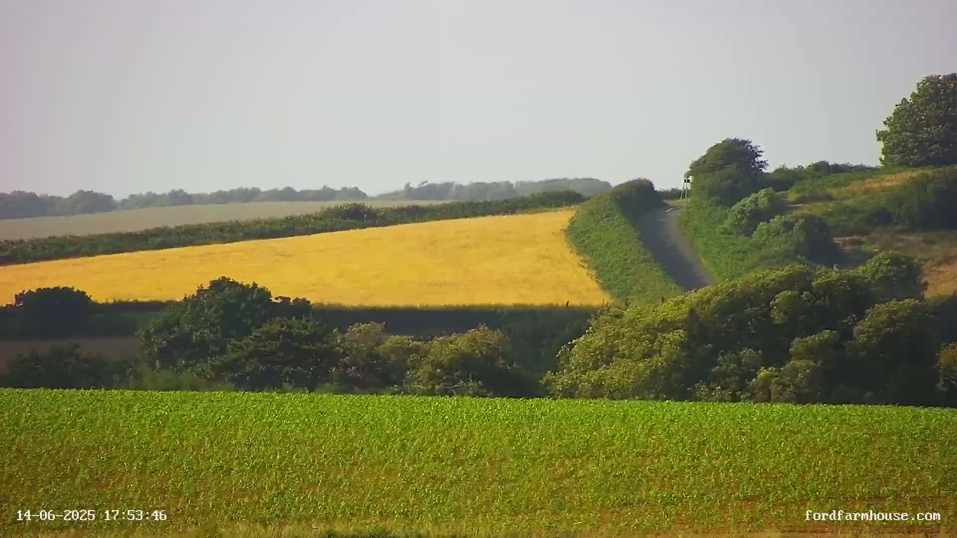 Rolling green and gold farmland under a clear, light-grey sky.