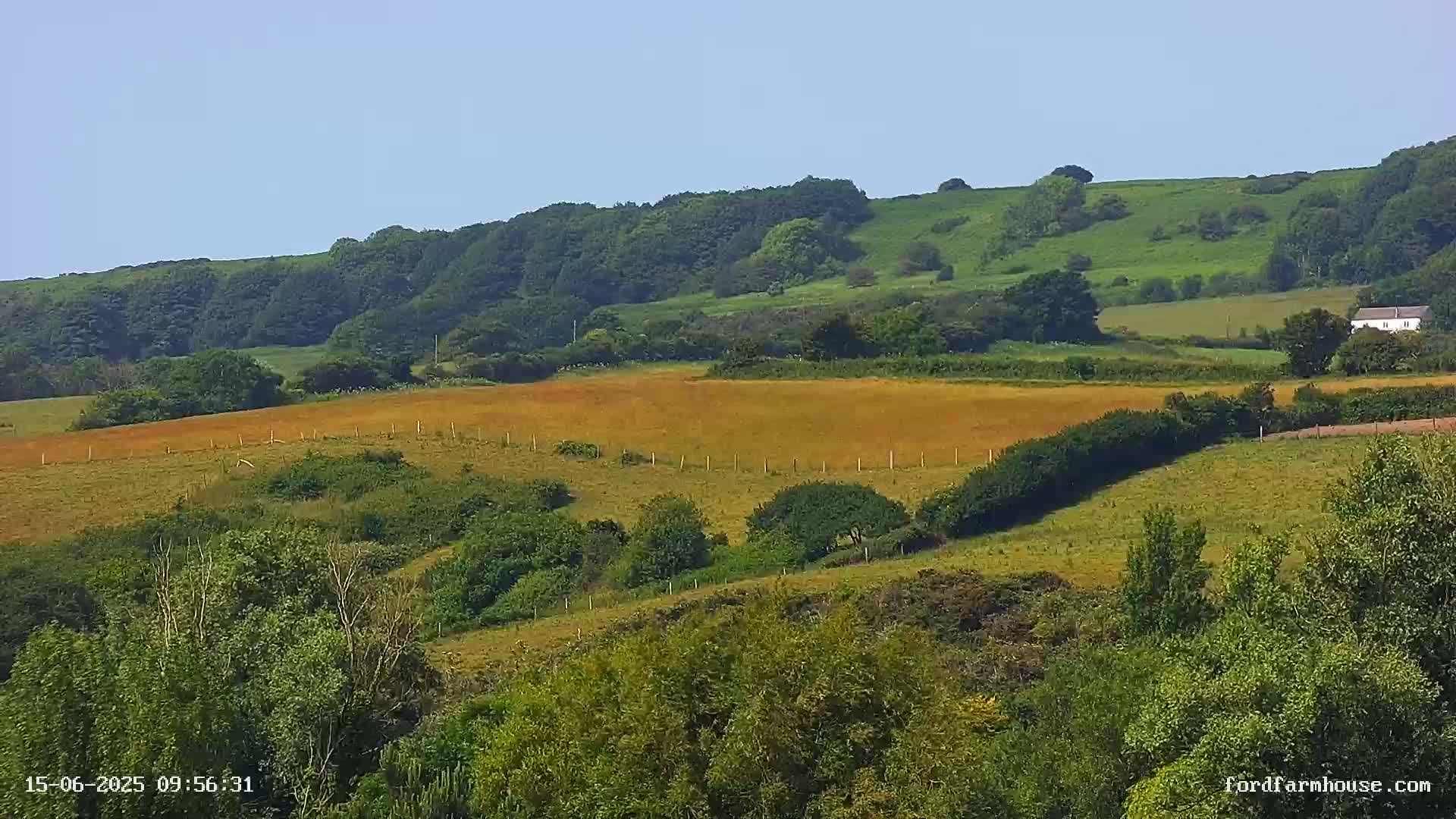 Rolling green hills dotted with trees and a field of golden-brown vegetation under a clear blue sky.