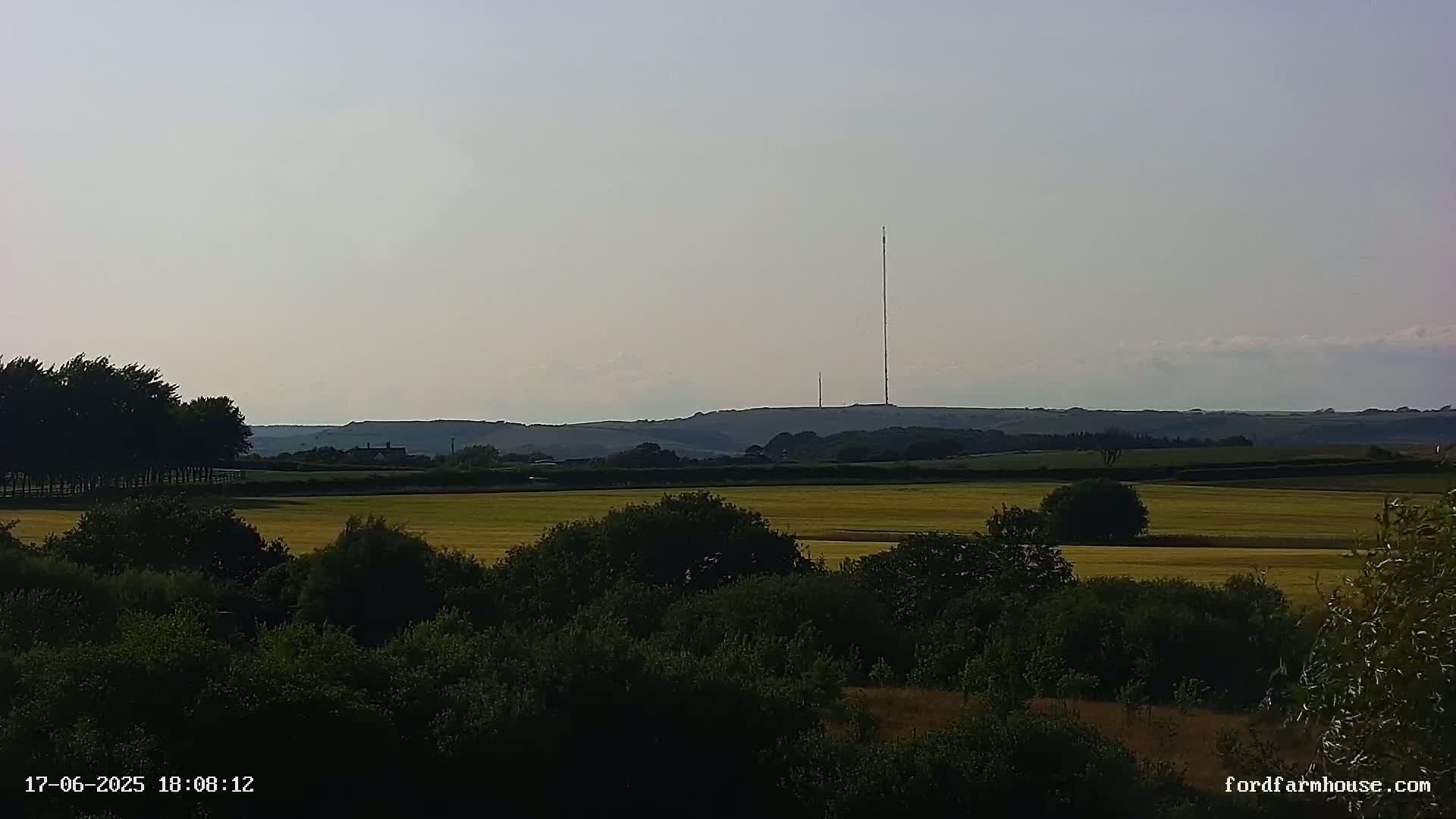 A hazy, sunny day reveals a vast, yellow field bordered by dark green trees and shrubs, with a tall radio tower standing prominently on a distant hill.