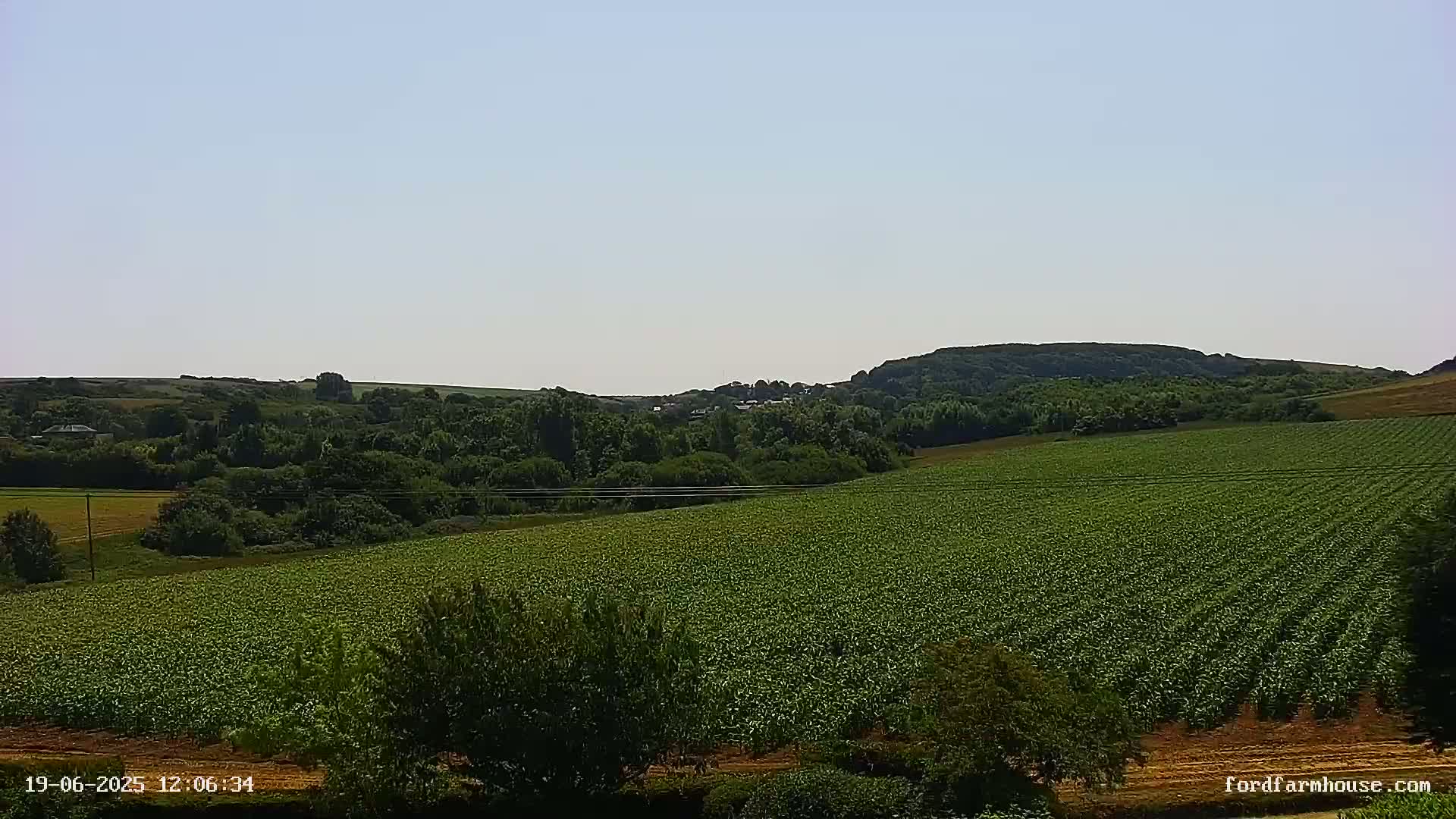 A vast, verdant field stretches towards a line of trees and hills under a clear, light-blue sky.