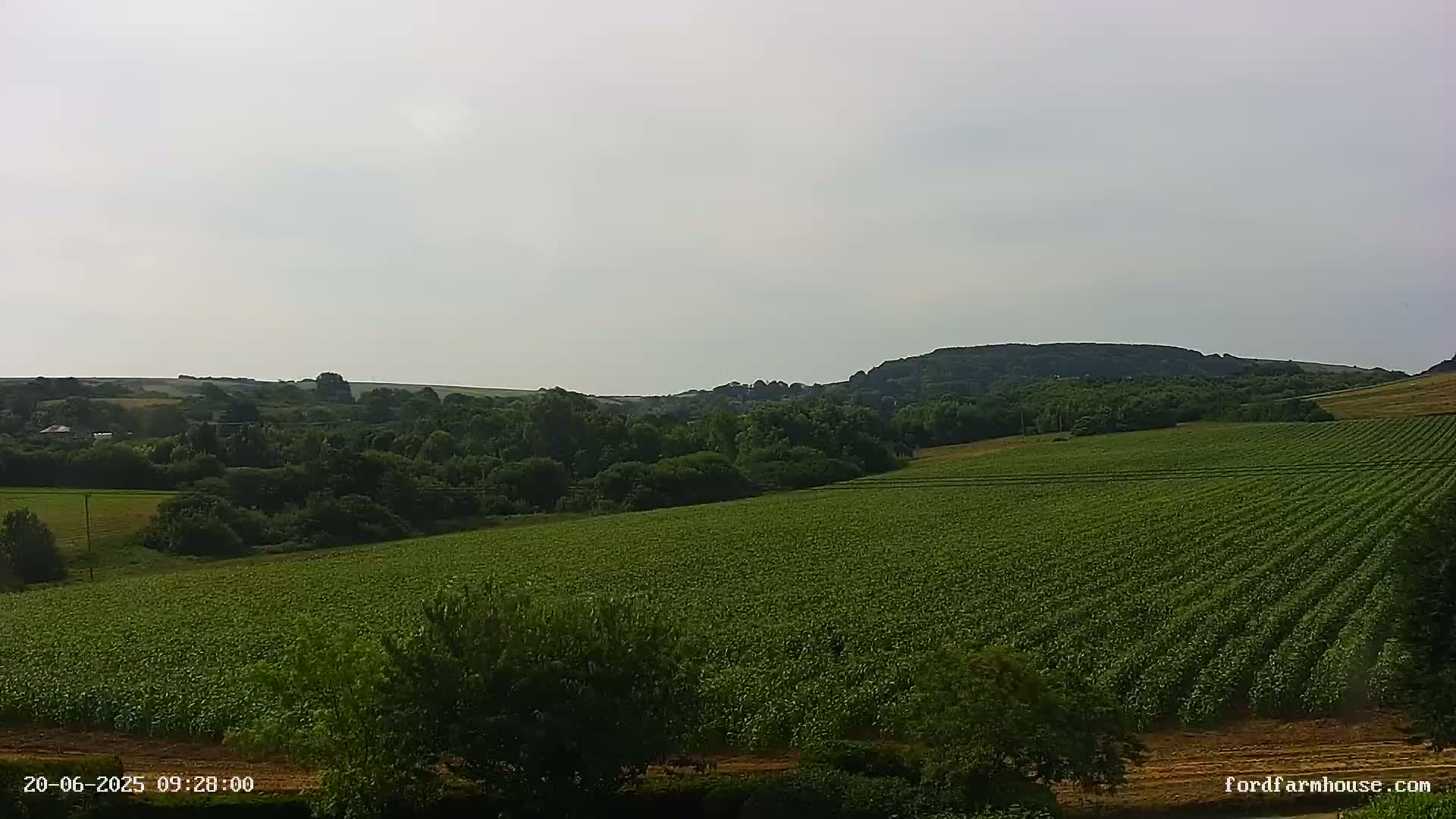 A vast, verdant field stretches out to a line of trees and hills under a mostly cloudy sky.