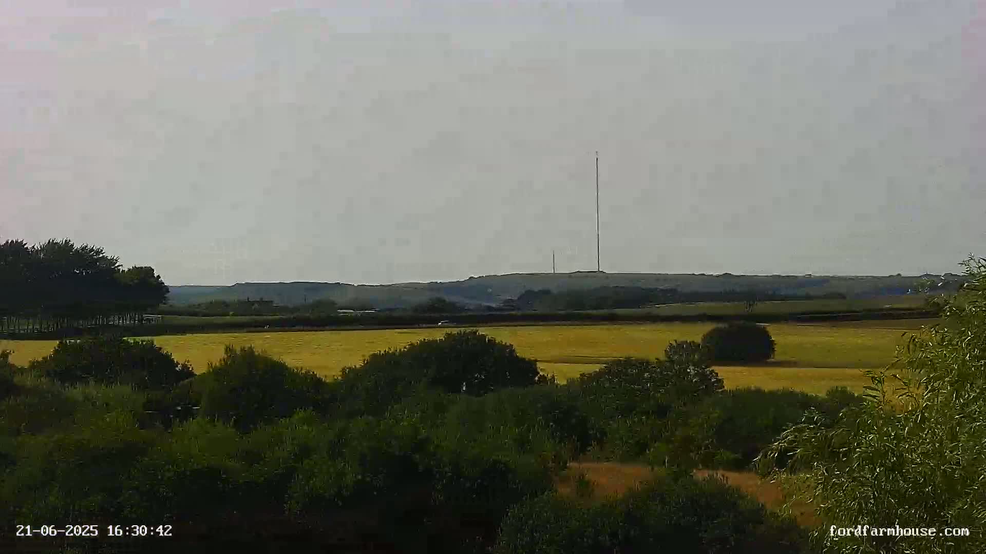 A long radio tower stands on a distant hill overlooking a field of golden-yellow crops and green foliage under an overcast sky.