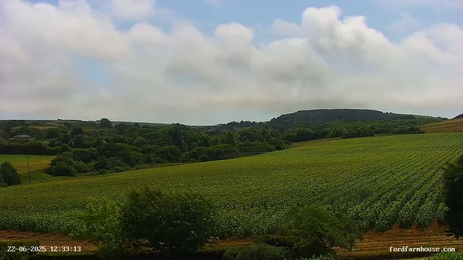 A large, verdant field stretches across a gently rolling landscape under a partly cloudy sky.