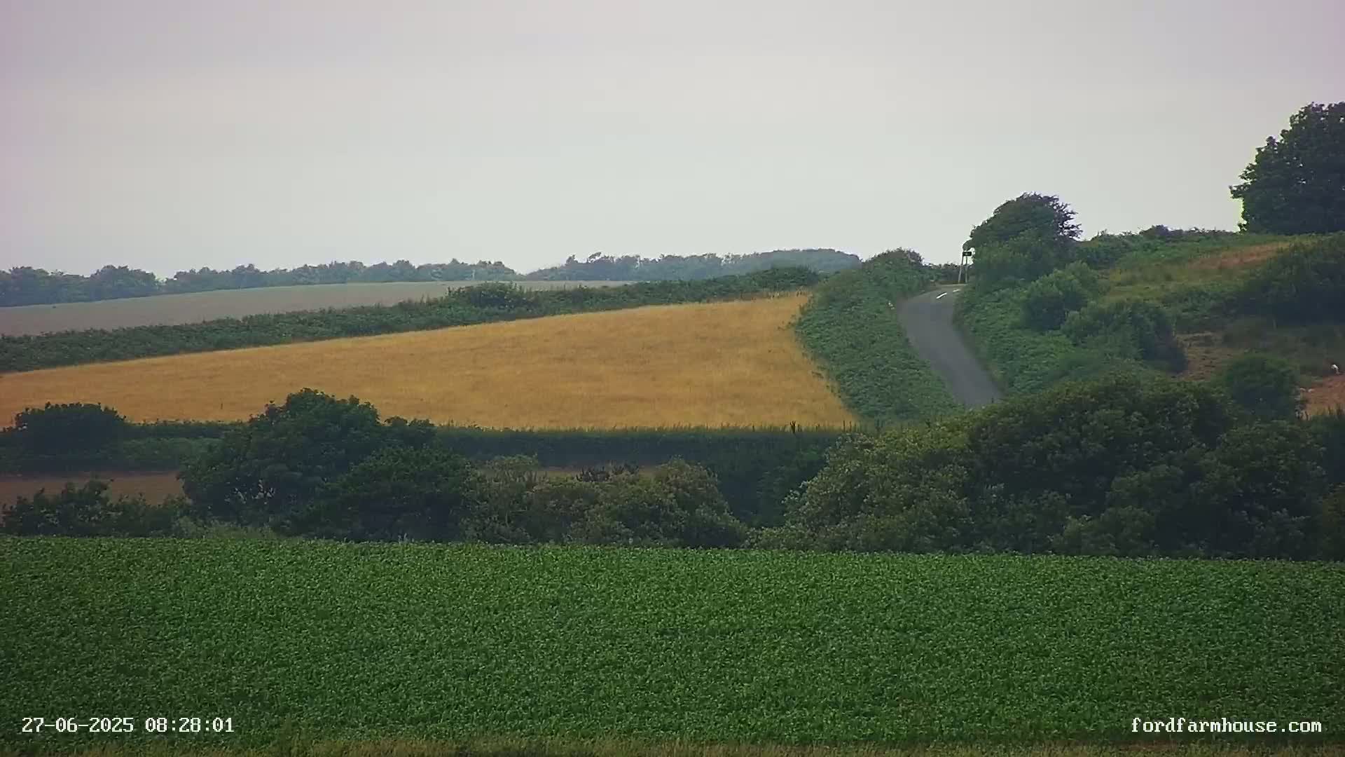 A gently rolling landscape of green and gold fields under an overcast sky features a curving road that winds through the trees.