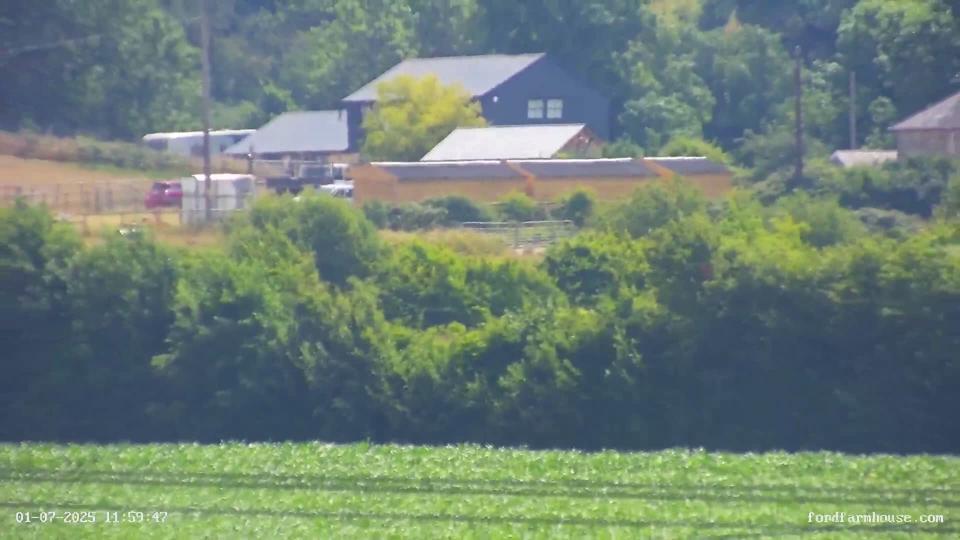 Whitwell Ford Farm House Countryside Live Cam - Whitwell, Isle of Wight, South East, England, United Kingdom