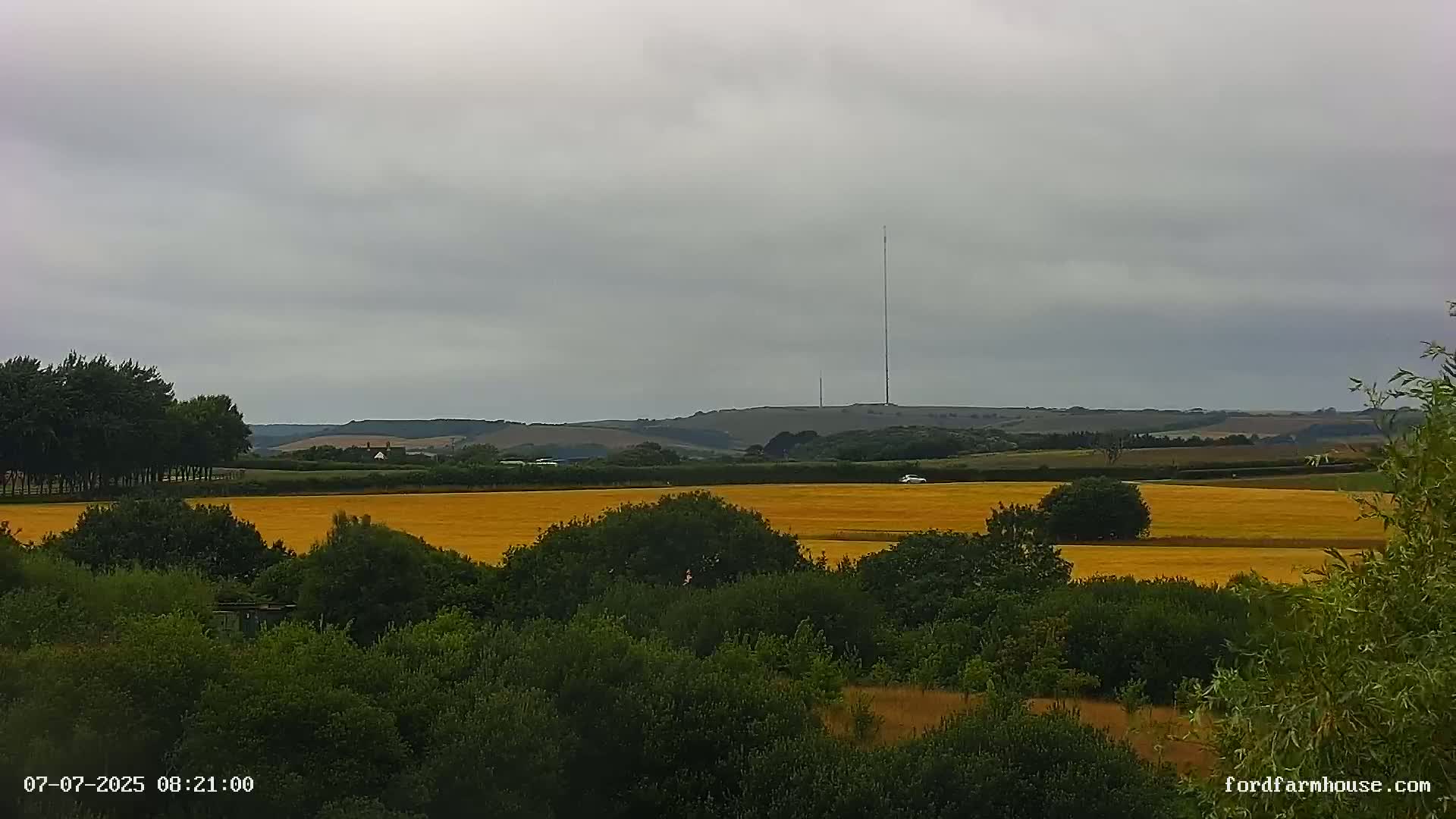 A view of a golden field, bordered by dark green trees and shrubs, stretches to a distant hill topped with a tall radio tower under an overcast sky.