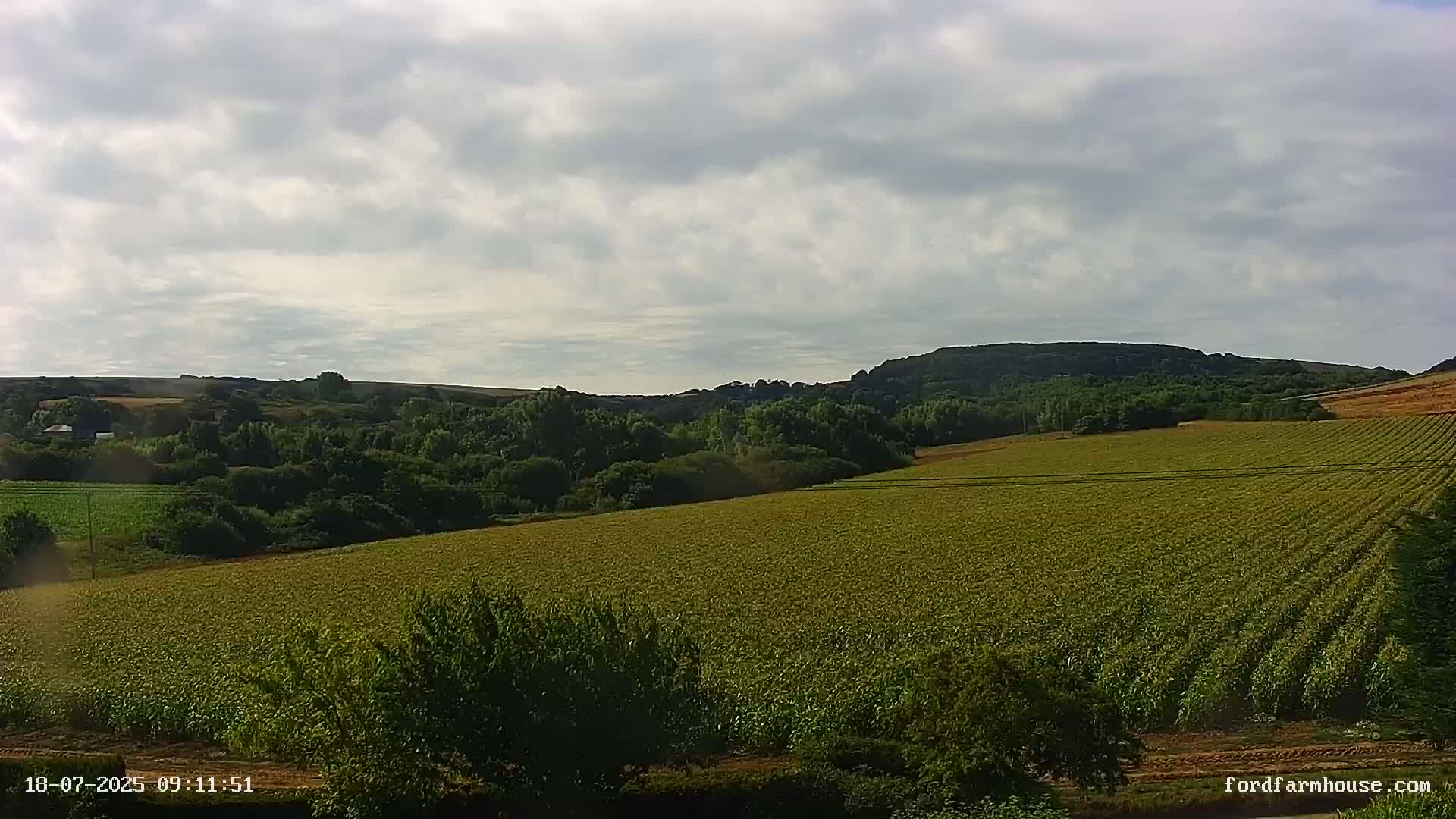 A vast field of crops stretches across a gently rolling landscape under a partly cloudy sky.