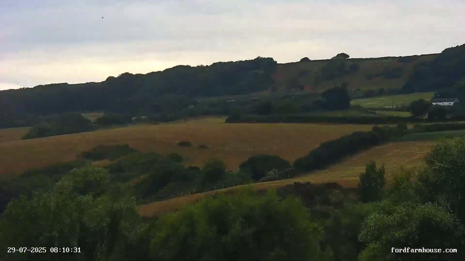 Rolling hills of golden-brown fields and dark green trees and shrubs under a cloudy sky.