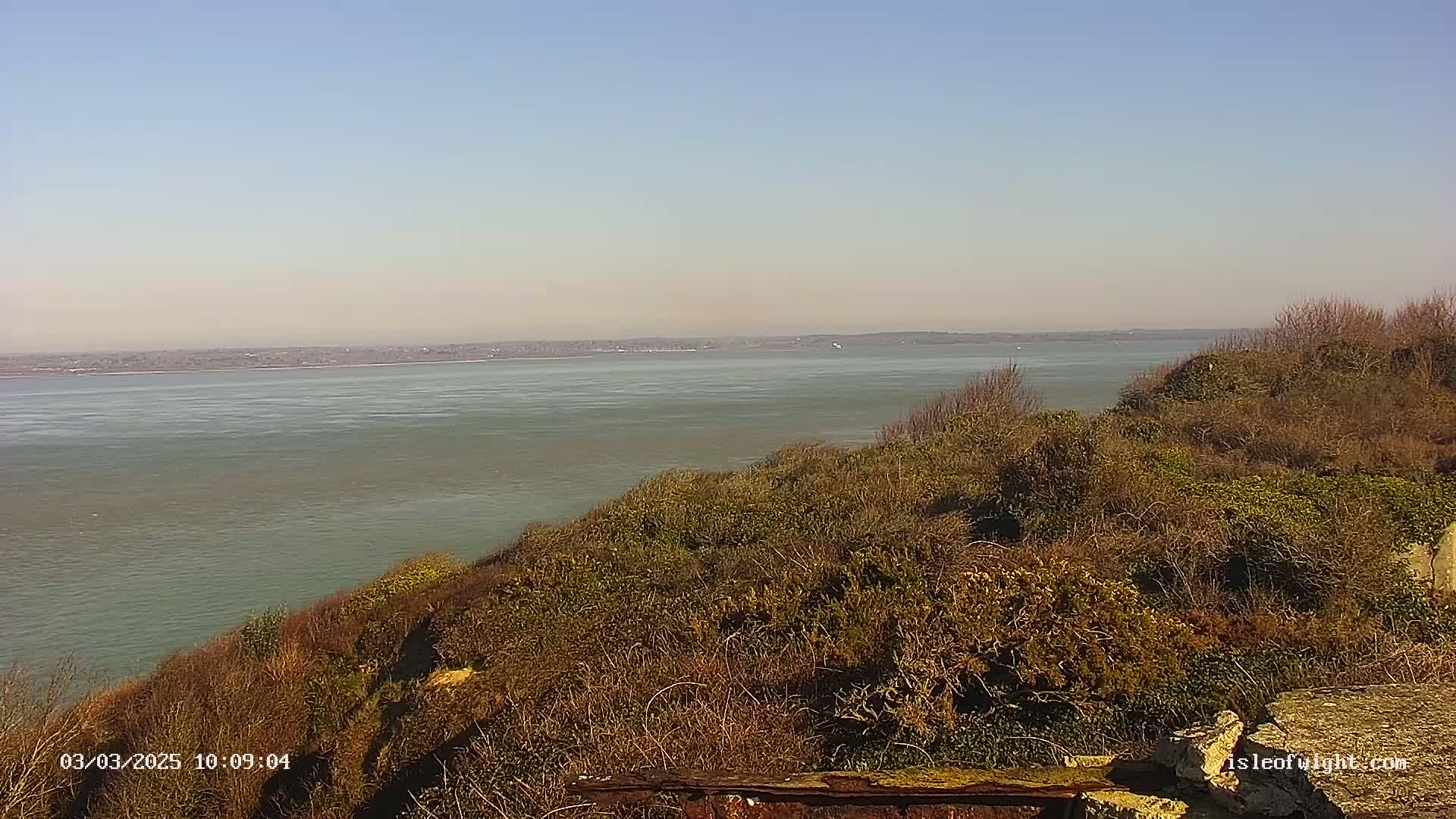 A calm body of water stretches to a distant shoreline under a clear, bright sky, viewed from a slightly elevated vantage point overlooking scrubby, low-lying vegetation.