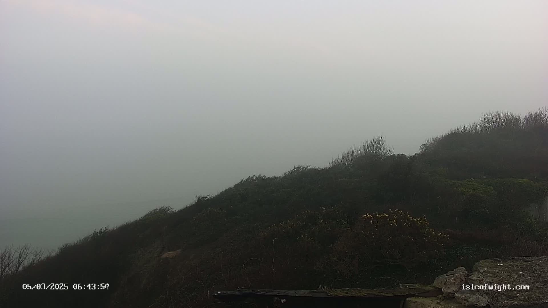A foggy, overcast day reveals a dark, shrub-covered hill in the foreground.