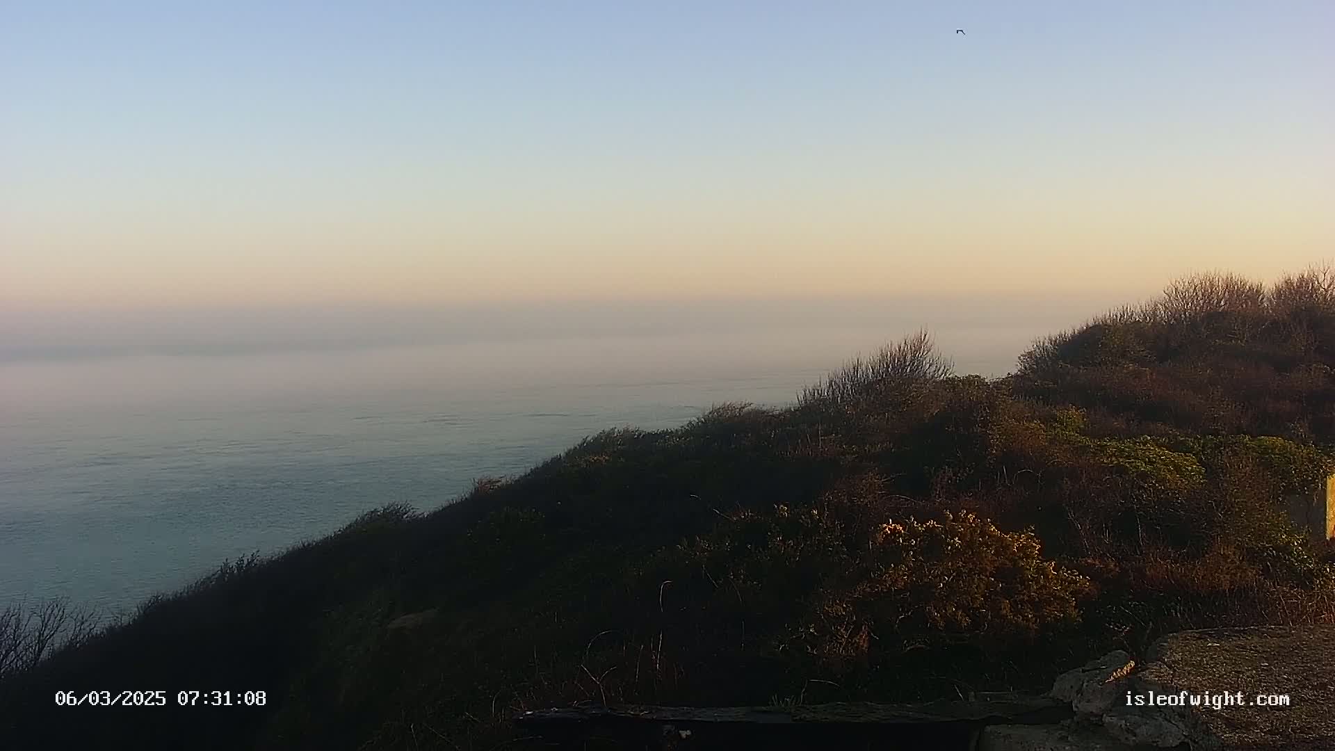 A hazy sunrise illuminates a coastal hillside overlooking a calm sea.