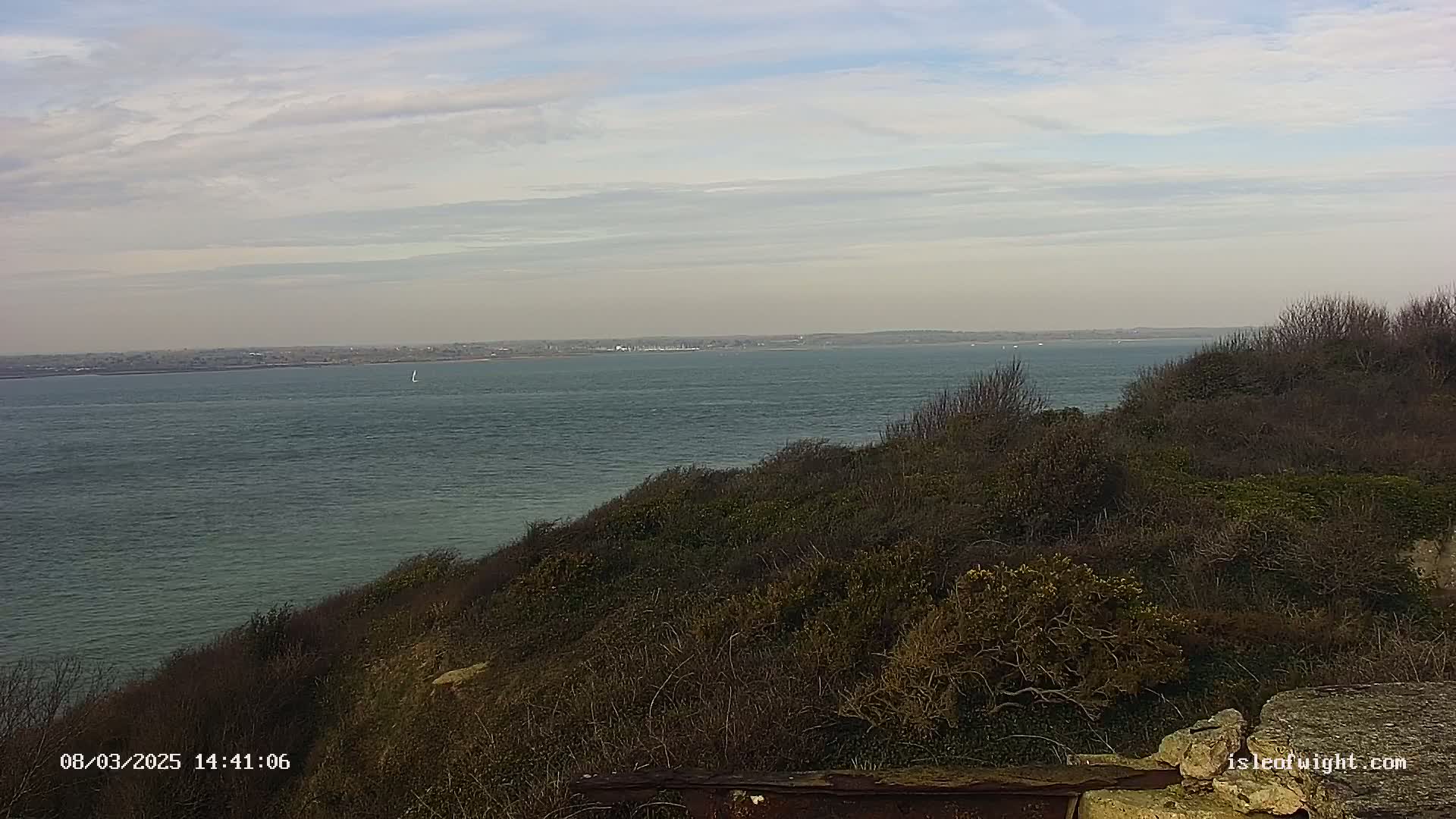A calm, overcast day reveals a view of a body of water from a scrubby hillside, with a distant shoreline visible across the water.